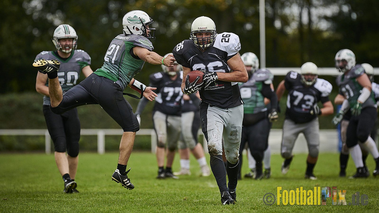 Mülheim Shamrocks vs. Mönchengladbach Wolfpack - MhShamrocksVsMgWolfpack