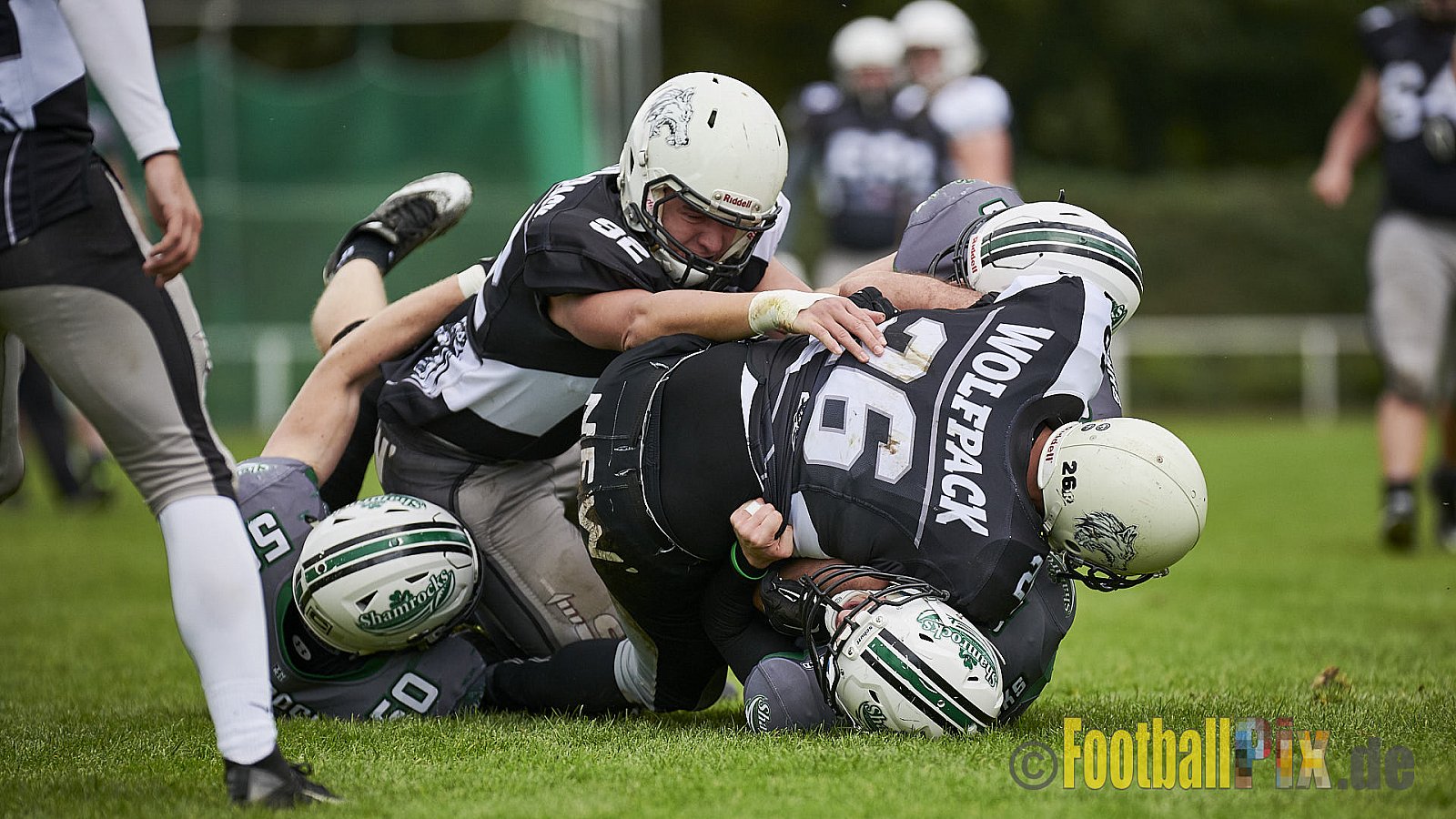Mülheim Shamrocks vs. Mönchengladbach Wolfpack - MhShamrocksVsMgWolfpack