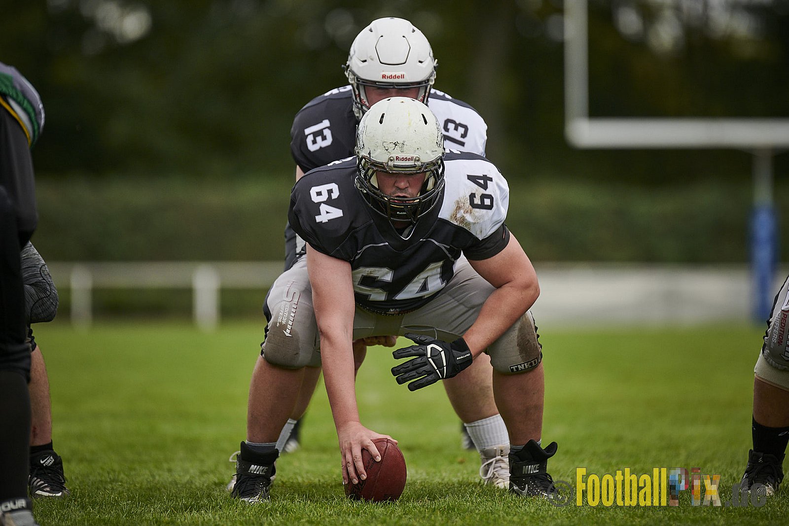 Mülheim Shamrocks vs. Mönchengladbach Wolfpack - MhShamrocksVsMgWolfpack