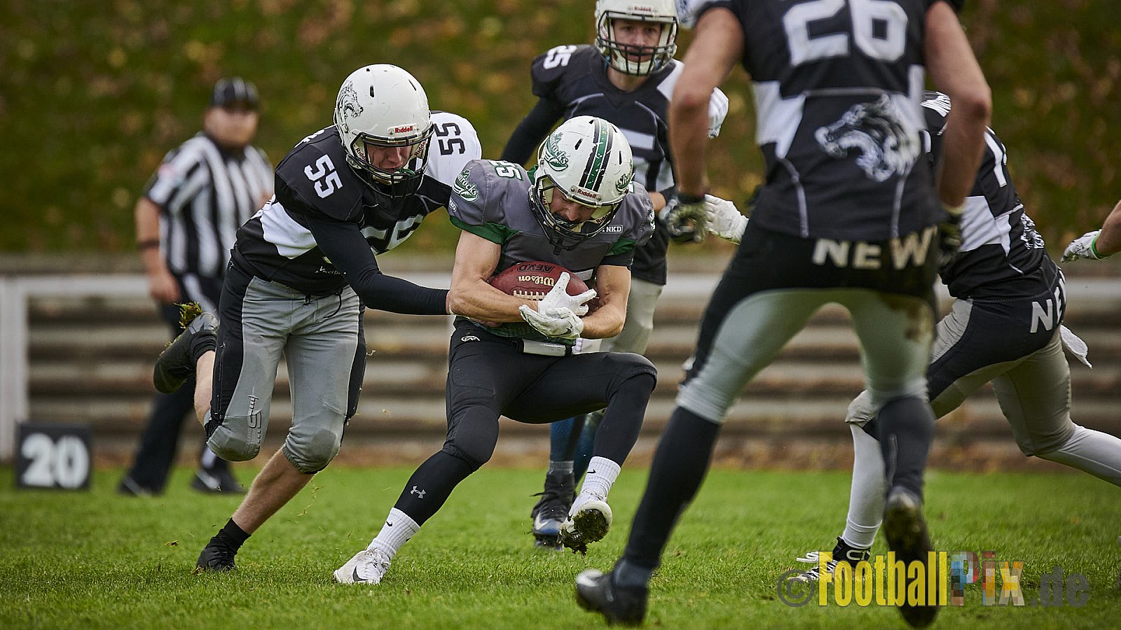 Mülheim Shamrocks vs. Mönchengladbach Wolfpack - MhShamrocksVsMgWolfpack