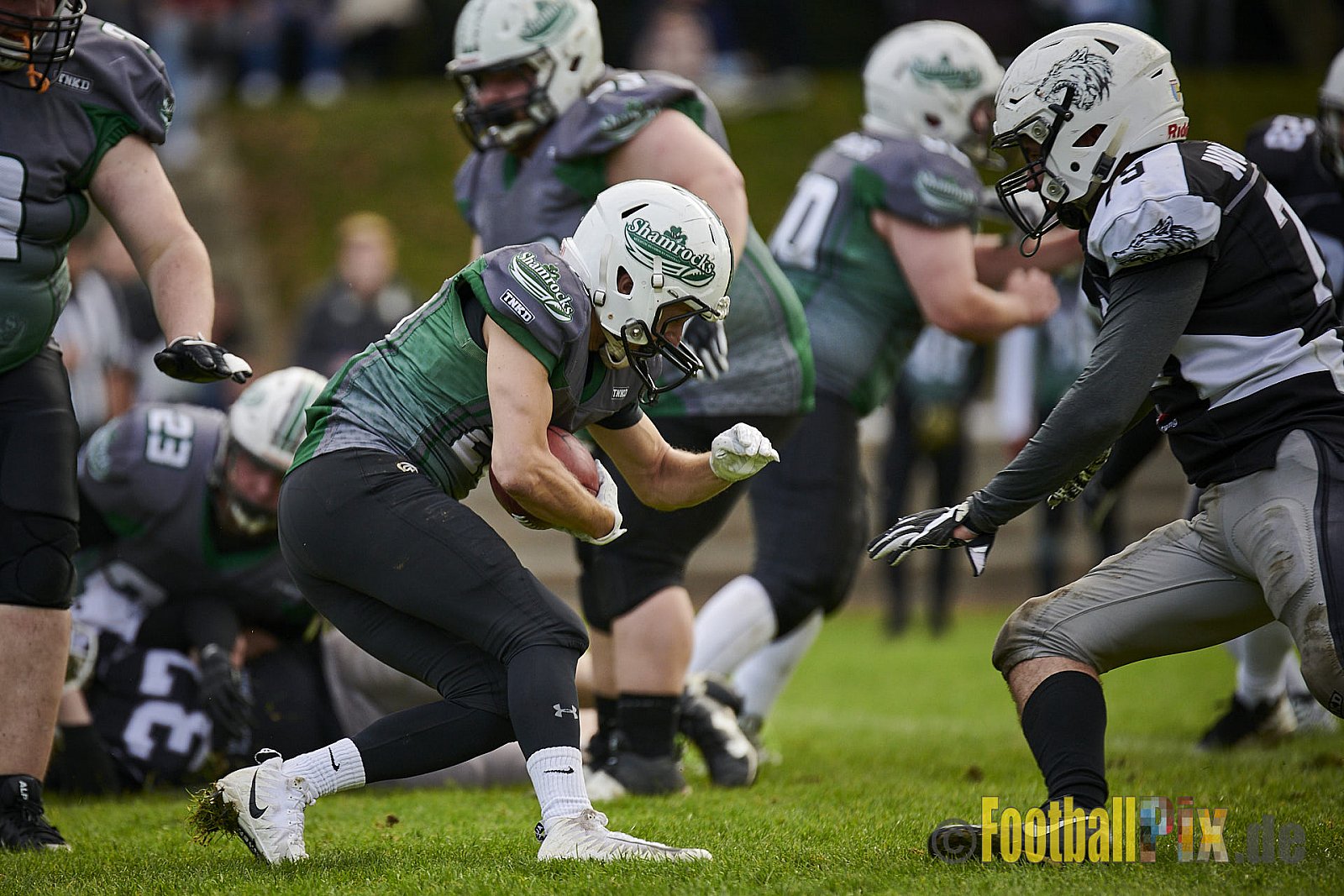Mülheim Shamrocks vs. Mönchengladbach Wolfpack - MhShamrocksVsMgWolfpack