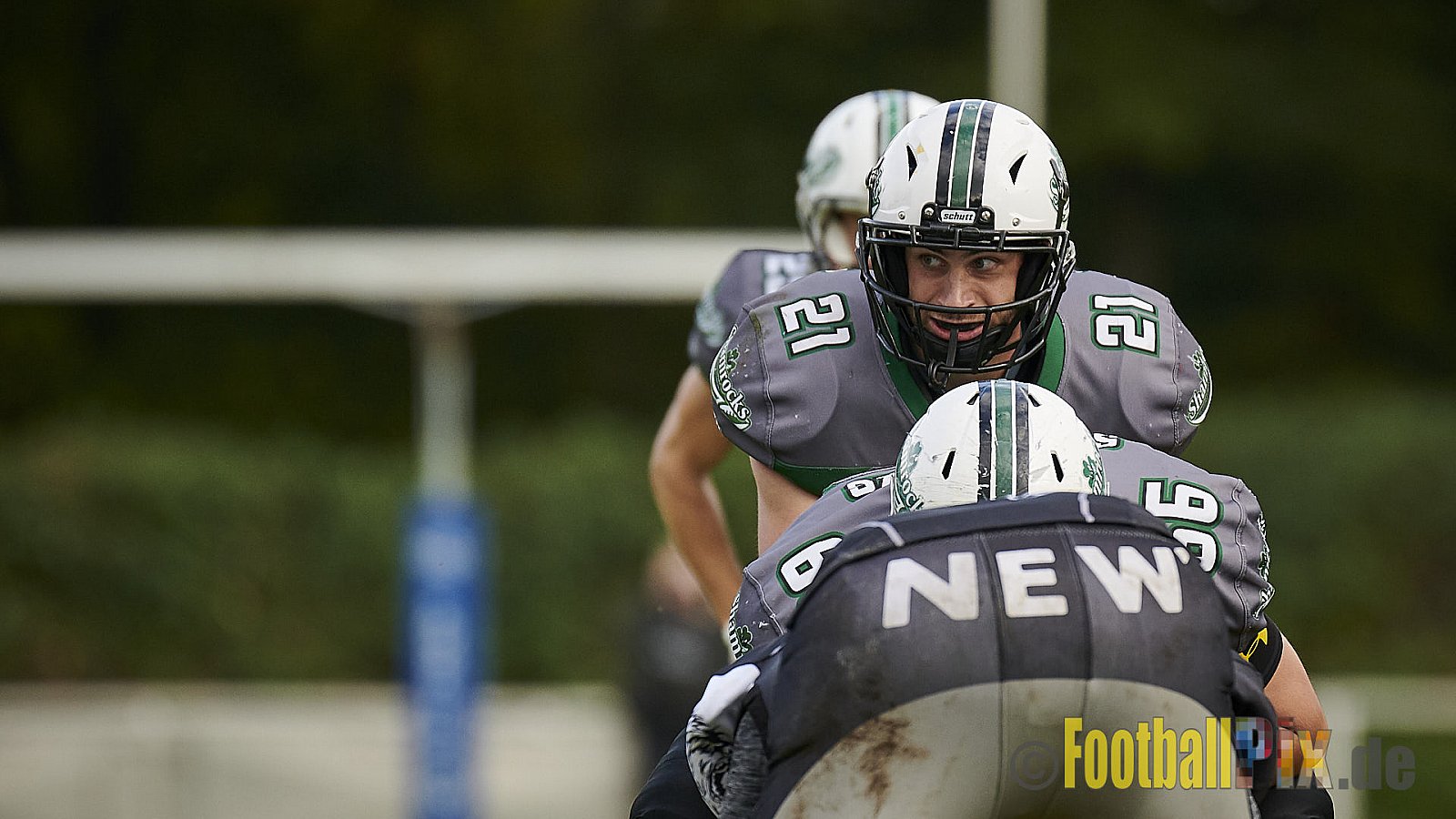 Mülheim Shamrocks vs. Mönchengladbach Wolfpack - MhShamrocksVsMgWolfpack