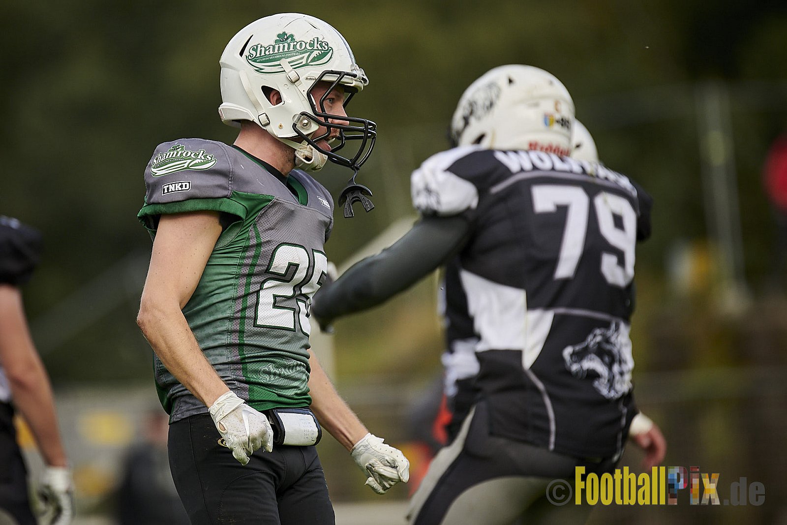 Mülheim Shamrocks vs. Mönchengladbach Wolfpack - MhShamrocksVsMgWolfpack
