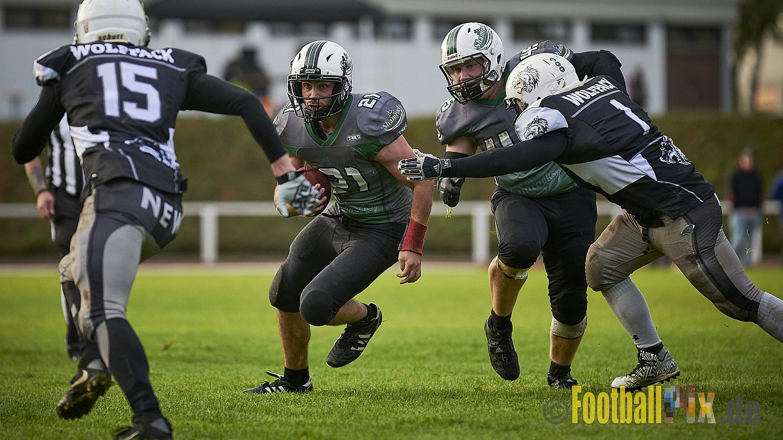 Mülheim Shamrocks vs. Mönchengladbach Wolfpack - MhShamrocksVsMgWolfpack