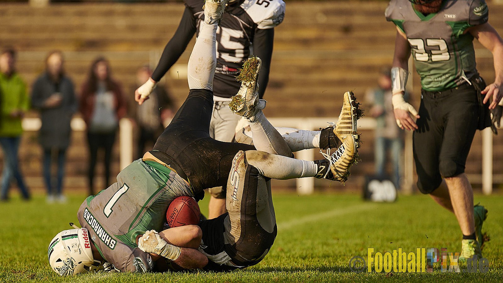 Mülheim Shamrocks vs. Mönchengladbach Wolfpack - MhShamrocksVsMgWolfpack