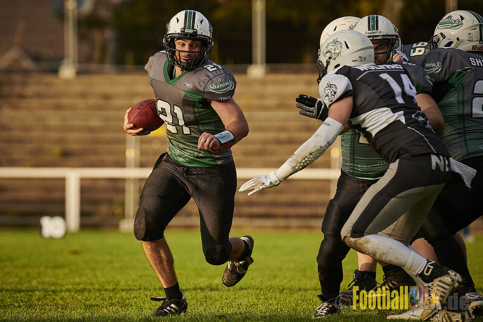 Mülheim Shamrocks vs. Mönchengladbach Wolfpack - MhShamrocksVsMgWolfpack