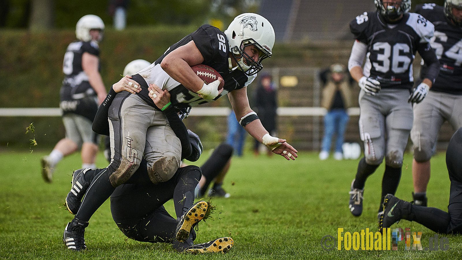 Mülheim Shamrocks vs. Mönchengladbach Wolfpack - MhShamrocksVsMgWolfpack