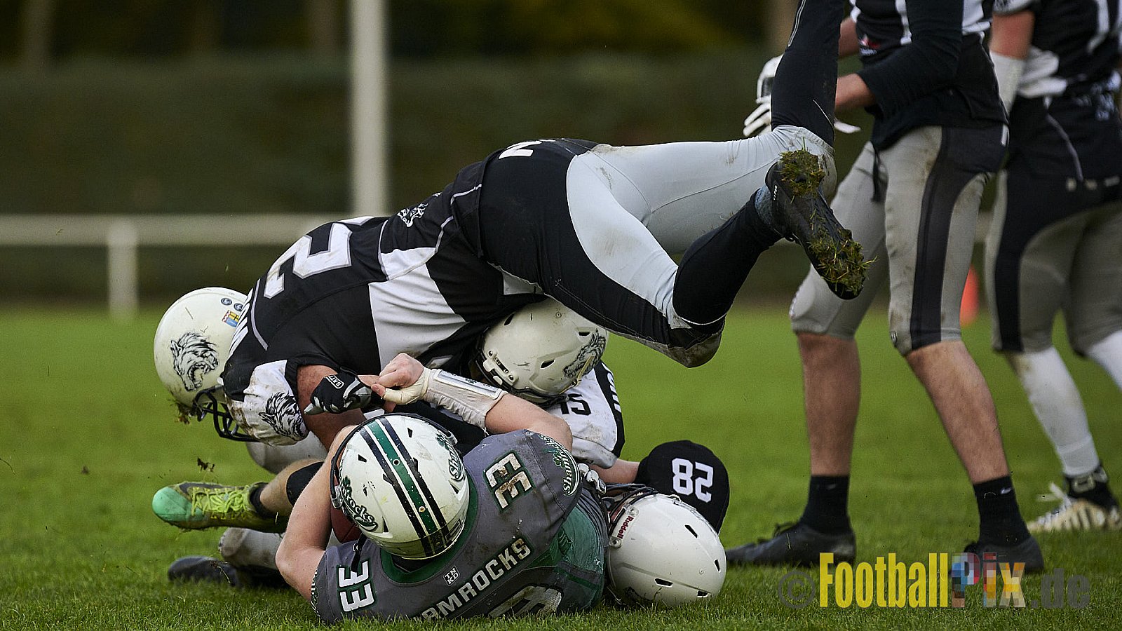 Mülheim Shamrocks vs. Mönchengladbach Wolfpack - MhShamrocksVsMgWolfpack
