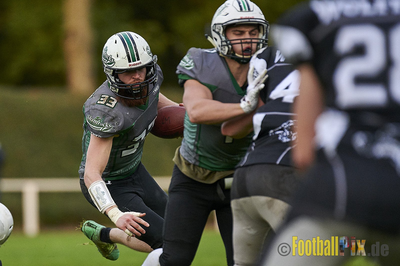 Mülheim Shamrocks vs. Mönchengladbach Wolfpack - MhShamrocksVsMgWolfpack