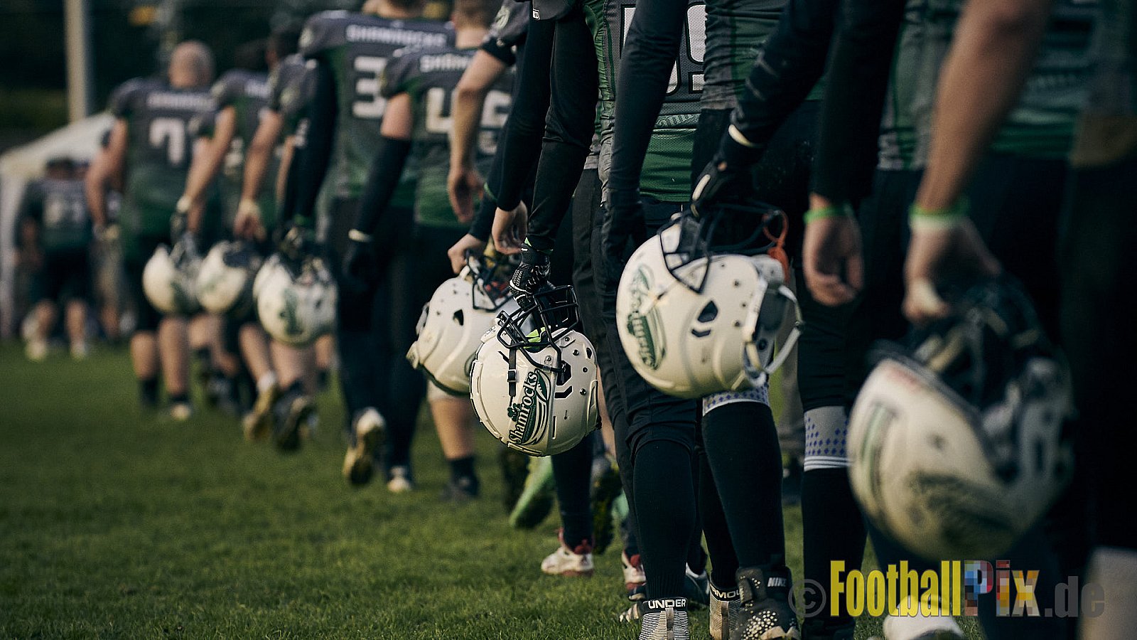 Mülheim Shamrocks vs. Mönchengladbach Wolfpack - MhShamrocksVsMgWolfpack