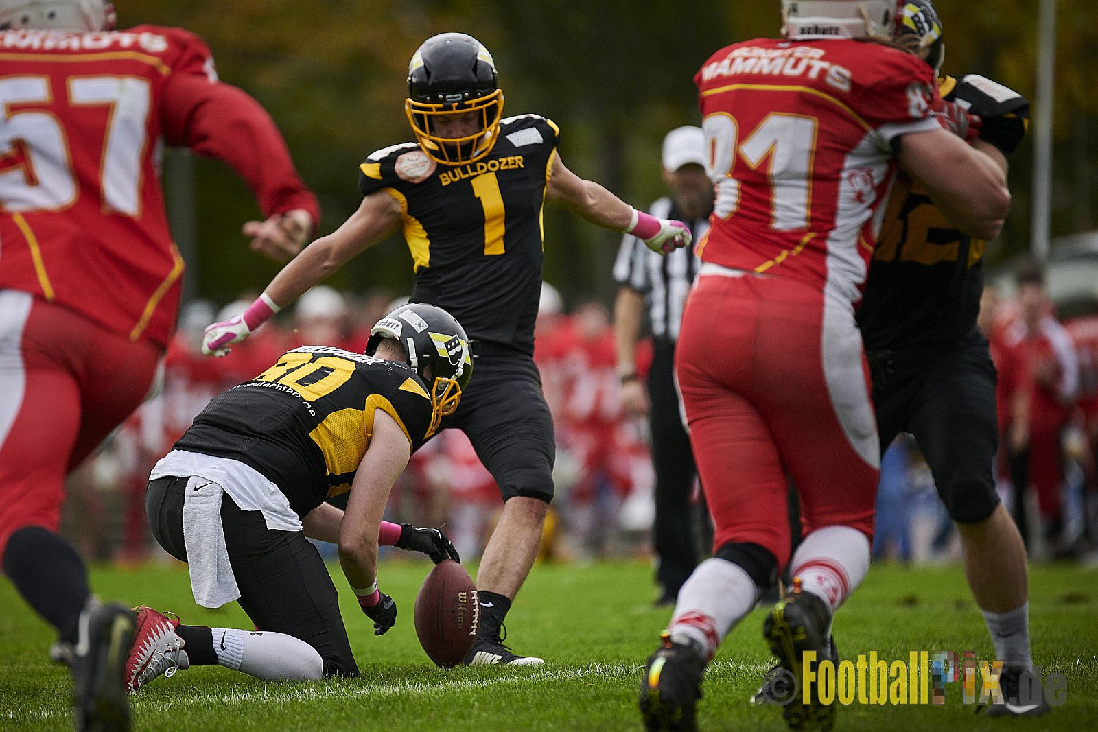 Düsseldorf Bulldozer vs. Münster Mammuts - DBulldozerVsMMammuts