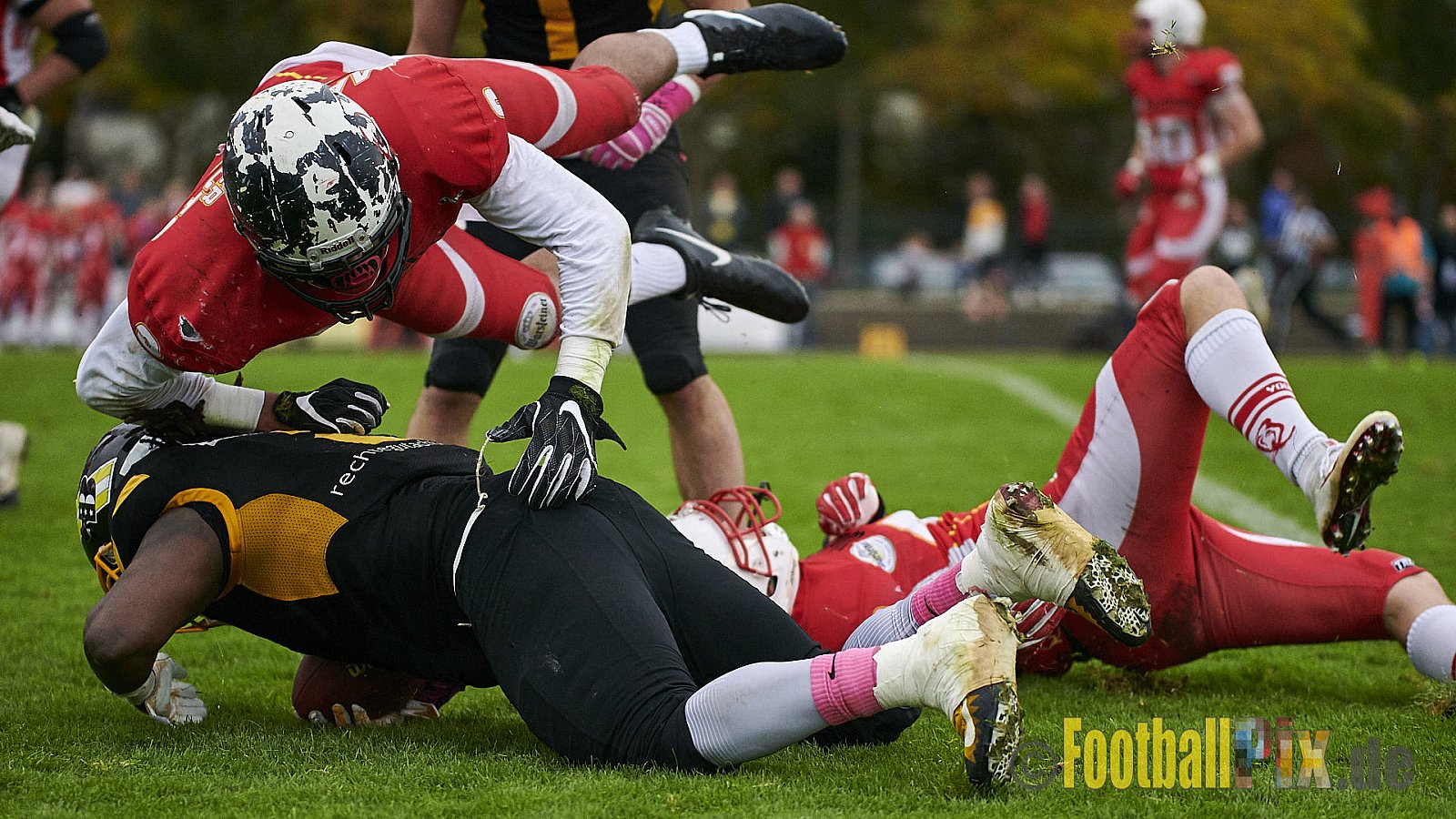 Düsseldorf Bulldozer vs. Münster Mammuts - DBulldozerVsMMammuts