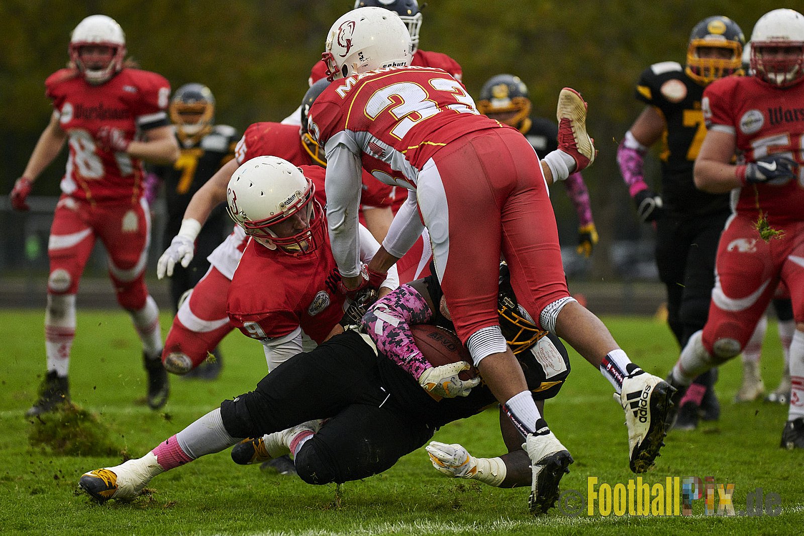 Düsseldorf Bulldozer vs. Münster Mammuts - DBulldozerVsMMammuts