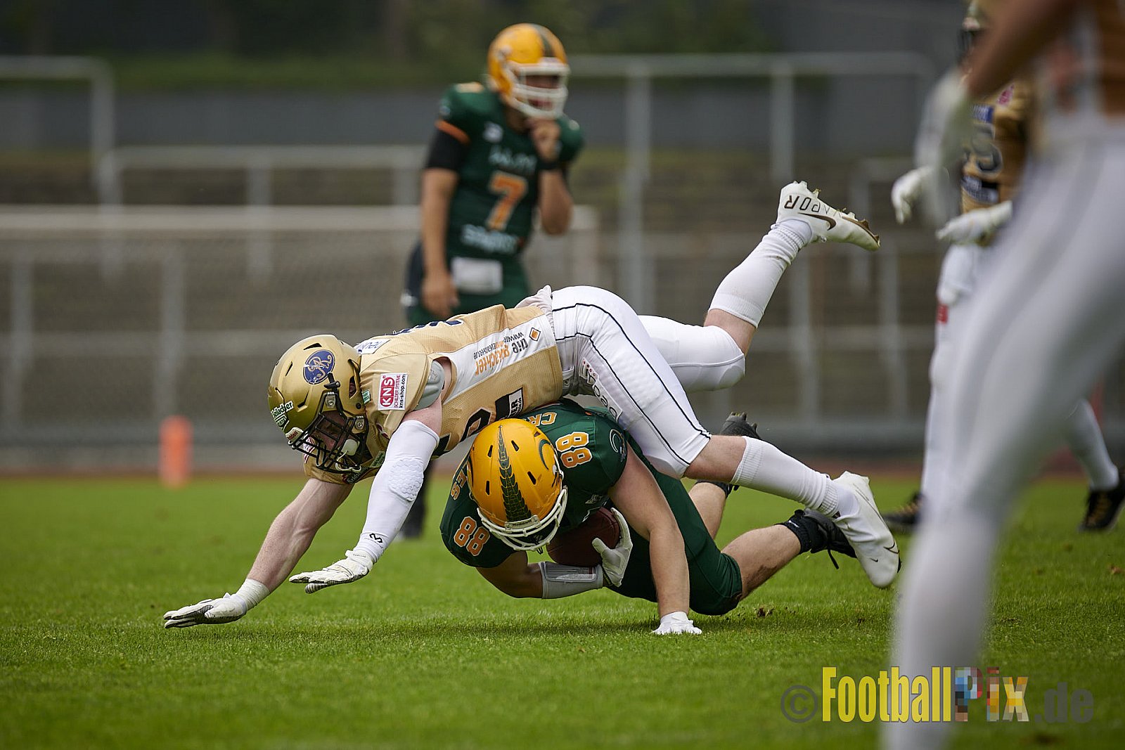 German Football League 2021 Cologne Crocodiles vs. Dresden Monarchs im Südstadion, Vorgebirgstraße 76, 50969 Köln, Punkte Endstand 48 : 41.
[Bildnummer: 2021-06-05_0151] - CologneCrocodilesVsDresdenMonarchs