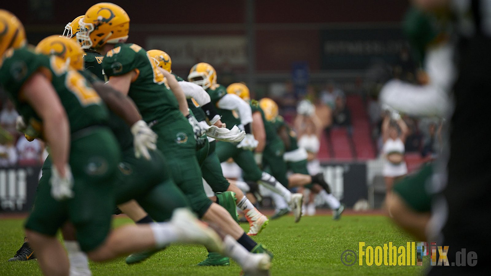 German Football League 2021 Cologne Crocodiles vs. Dresden Monarchs im Südstadion, Vorgebirgstraße 76, 50969 Köln, Punkte Endstand 48 : 41.
[Bildnummer: 2021-06-05_0363] - CologneCrocodilesVsDresdenMonarchs