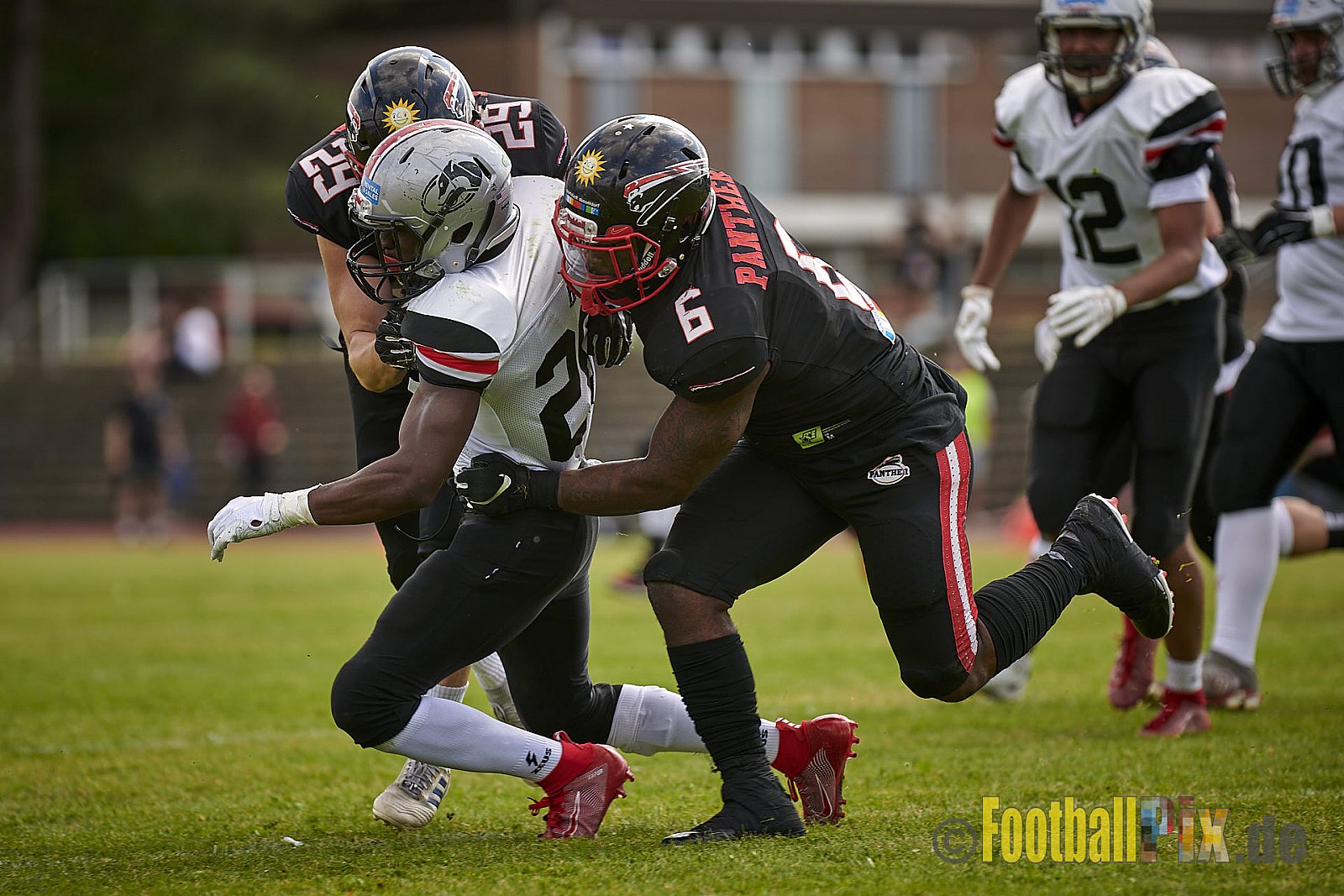 GFL2 Season 2021 Düsseldorf Panther vs. Hamburg Huskies am 12.06.2021 im Stadion VfL Benrath, Karl-Hohmann-Straße 70, 40597 Düsseldorf, Punkte Endstand 12 : 06.
[Bildnummer: 2021-06-12_0196] - DPantherVsHamburgHuskies