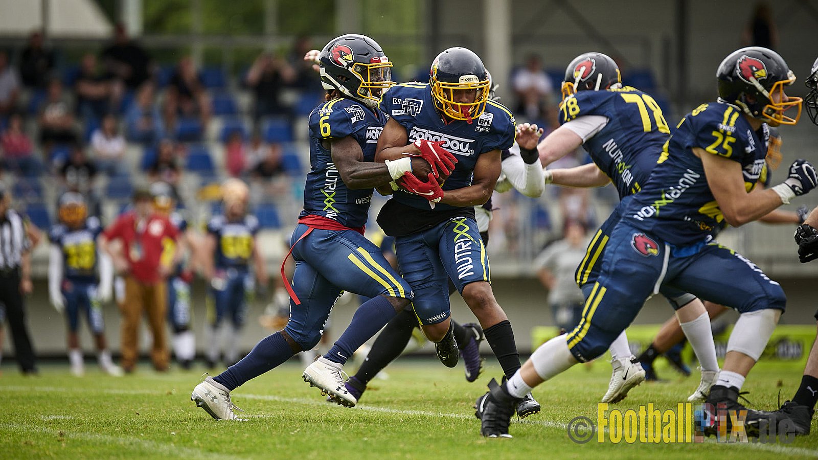 GFL2 Season 2021 Assindia Cardinals vs. Langenfeld Longhorns am 4.07.2021 im Stadion Am Hallo, Hallostraße, 45141 Essen. Endstand des Spiels 28 : 31.
[Bildnummer: 2021-07-04_0087] - AssindiaCardinalsVsLangenfeldLonghorns