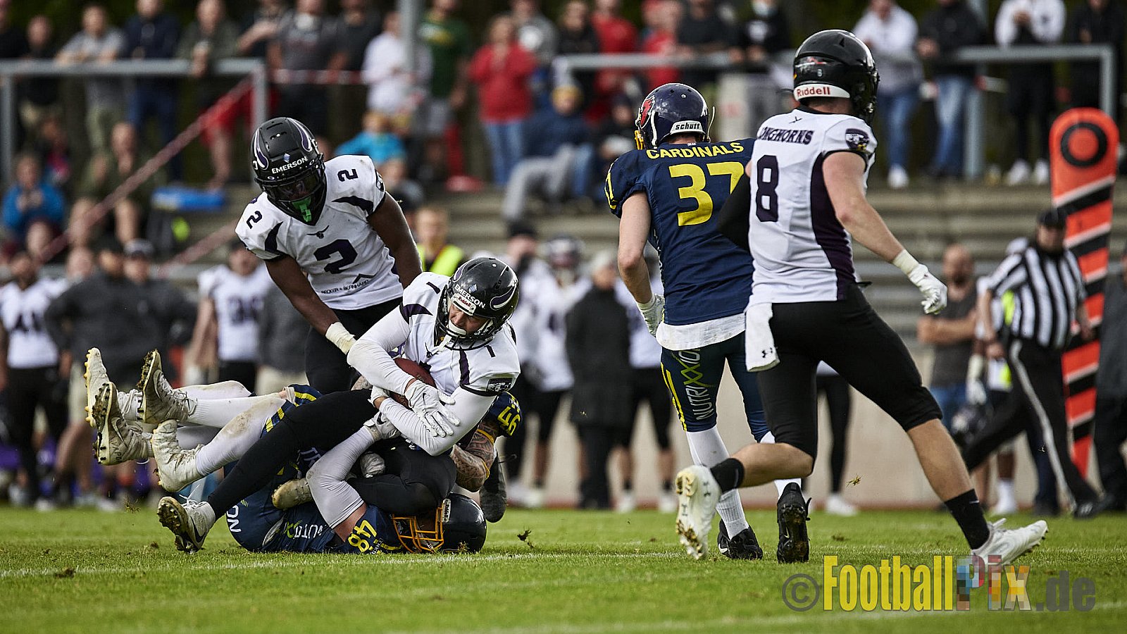 GFL2 Season 2021 Assindia Cardinals vs. Langenfeld Longhorns am 4.07.2021 im Stadion Am Hallo, Hallostraße, 45141 Essen. Endstand des Spiels 28 : 31.
[Bildnummer: 2021-07-04_0146] - AssindiaCardinalsVsLangenfeldLonghorns