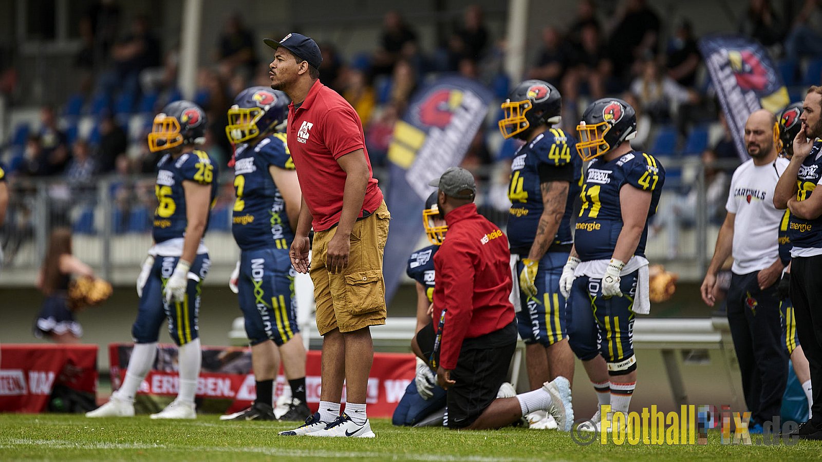 GFL2 Season 2021 Assindia Cardinals vs. Langenfeld Longhorns am 4.07.2021 im Stadion Am Hallo, Hallostraße, 45141 Essen. Endstand des Spiels 28 : 31.
[Bildnummer: 2021-07-04_0242] - AssindiaCardinalsVsLangenfeldLonghorns