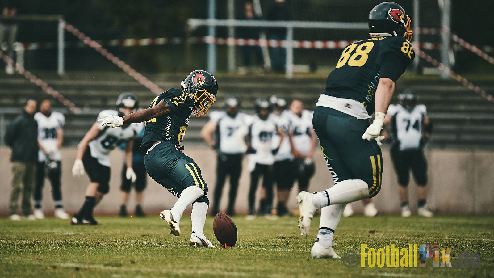 GFL2 Season 2021 Assindia Cardinals vs. Langenfeld Longhorns am 4.07.2021 im Stadion Am Hallo, Hallostraße, 45141 Essen. Endstand des Spiels 28 : 31.
[Bildnummer: 2021-07-04_0299] - AssindiaCardinalsVsLangenfeldLonghorns