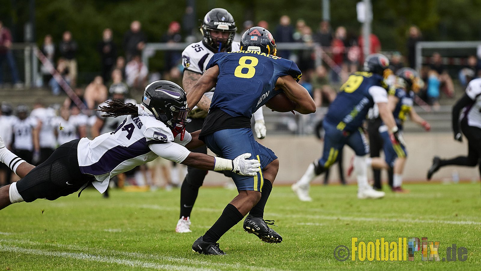 GFL2 Season 2021 Assindia Cardinals vs. Langenfeld Longhorns am 4.07.2021 im Stadion Am Hallo, Hallostraße, 45141 Essen. Endstand des Spiels 28 : 31.
[Bildnummer: 2021-07-04_0334] - AssindiaCardinalsVsLangenfeldLonghorns
