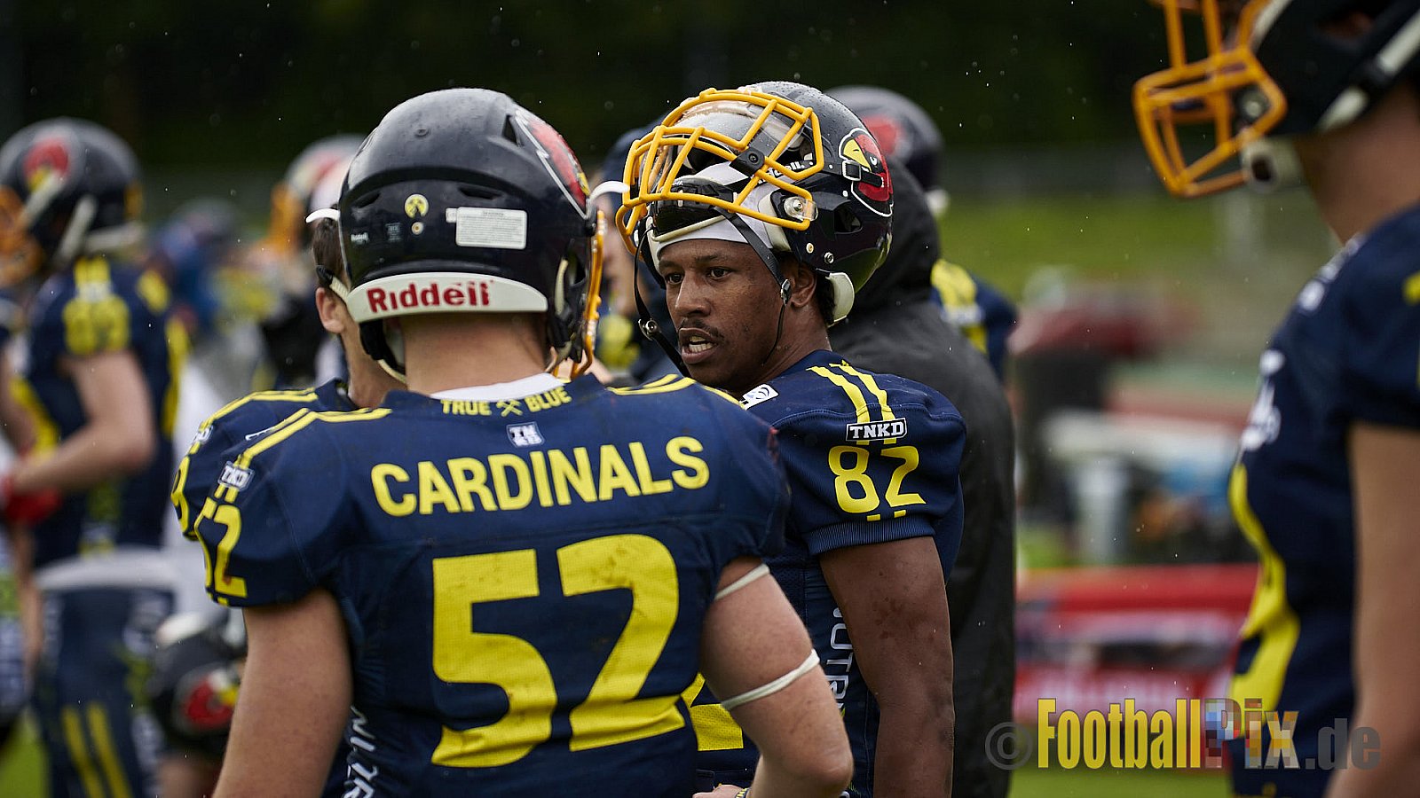 GFL2 Season 2021 Assindia Cardinals vs. Langenfeld Longhorns am 4.07.2021 im Stadion Am Hallo, Hallostraße, 45141 Essen. Endstand des Spiels 28 : 31.
[Bildnummer: 2021-07-04_0376] - AssindiaCardinalsVsLangenfeldLonghorns