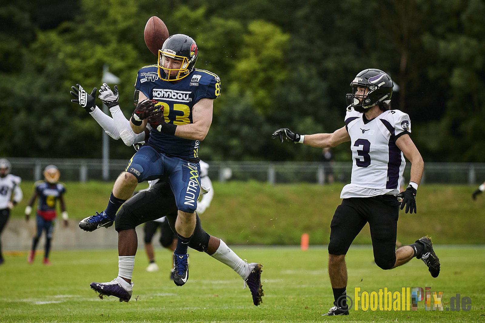GFL2 Season 2021 Assindia Cardinals vs. Langenfeld Longhorns am 4.07.2021 im Stadion Am Hallo, Hallostraße, 45141 Essen. Endstand des Spiels 28 : 31.
[Bildnummer: 2021-07-04_0521] - AssindiaCardinalsVsLangenfeldLonghorns
