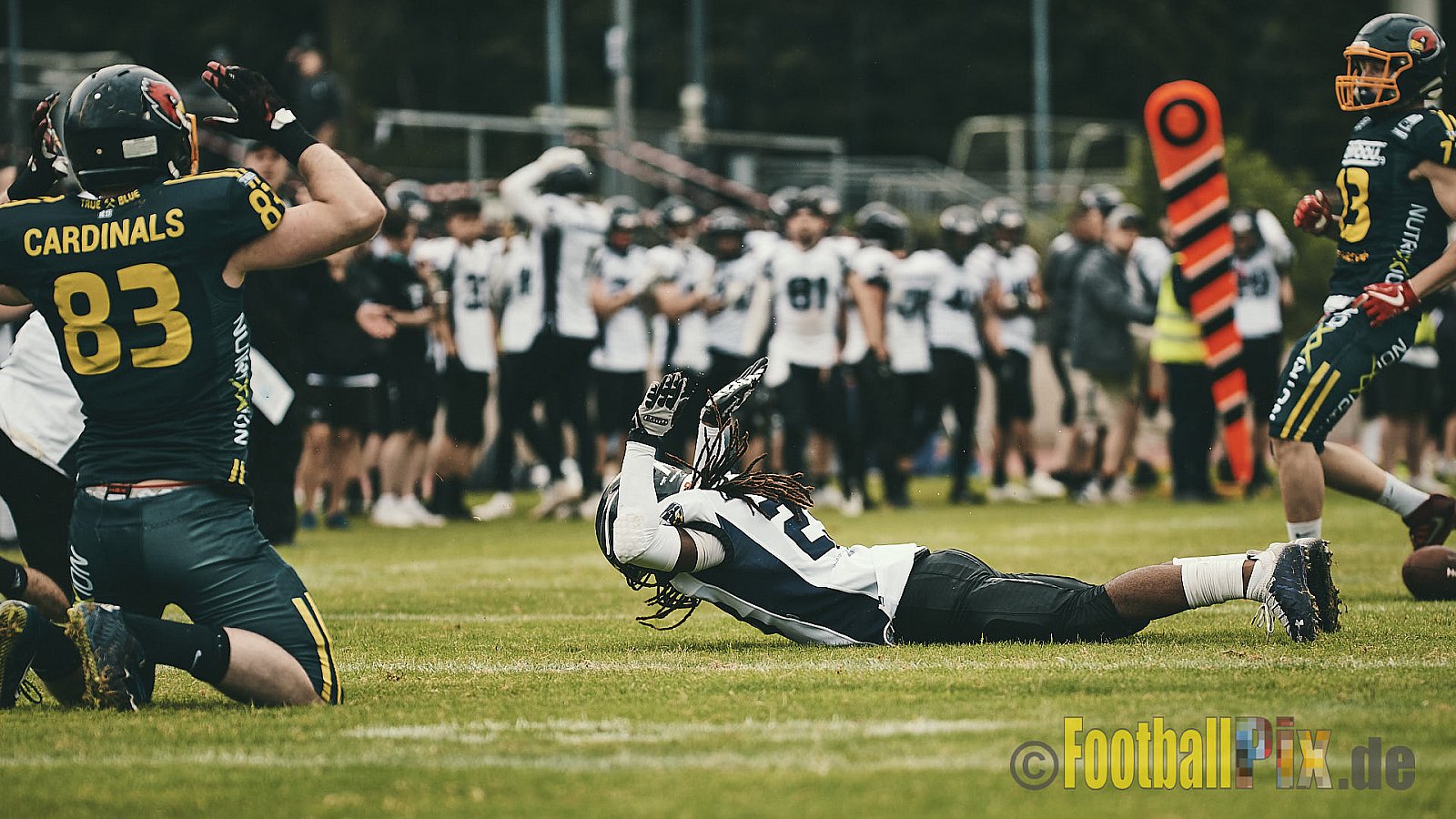 GFL2 Season 2021 Assindia Cardinals vs. Langenfeld Longhorns am 4.07.2021 im Stadion Am Hallo, Hallostraße, 45141 Essen. Endstand des Spiels 28 : 31.
[Bildnummer: 2021-07-04_0532] - AssindiaCardinalsVsLangenfeldLonghorns