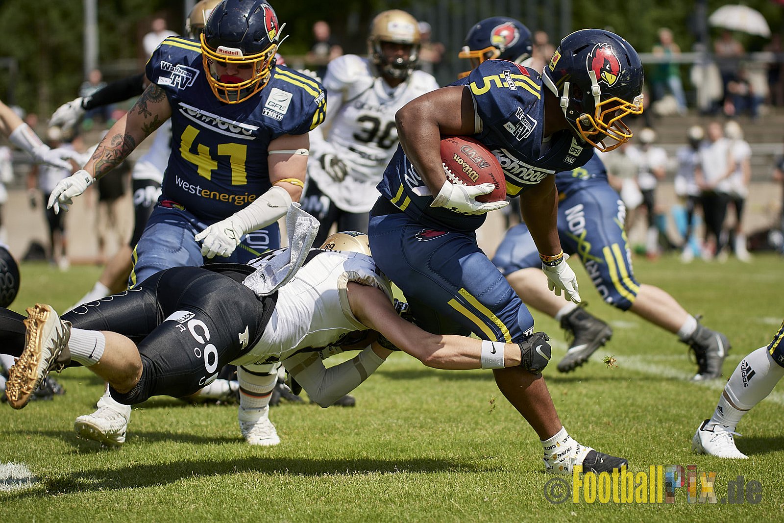 GFL2 Season 2022 Assindia Cardinals vs. Paderborn Dolphins am 22.05.2022 im Stadion Am Hallo, 45141 Essen. Spiel Endstand 14 : 31. Bildnummer: 2022-05-22_0083 - AssindiaCardinalsVsPaderbornDolphins