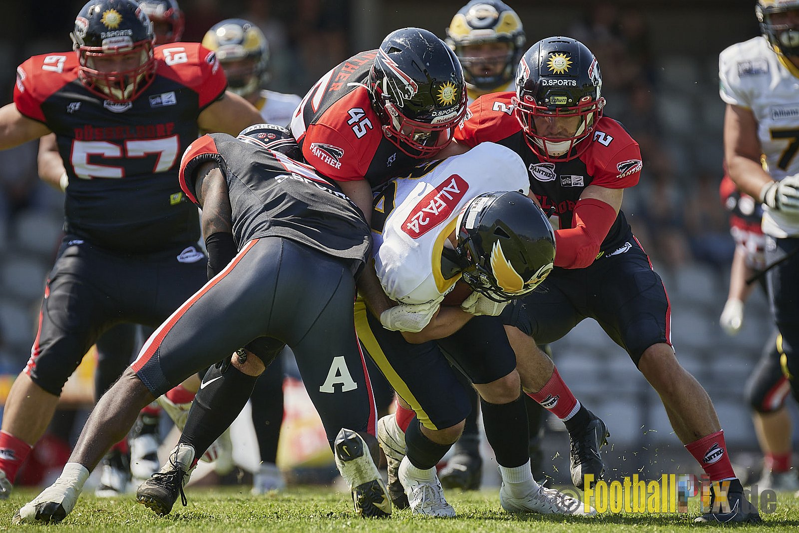 DPantherVsBerlinAdler