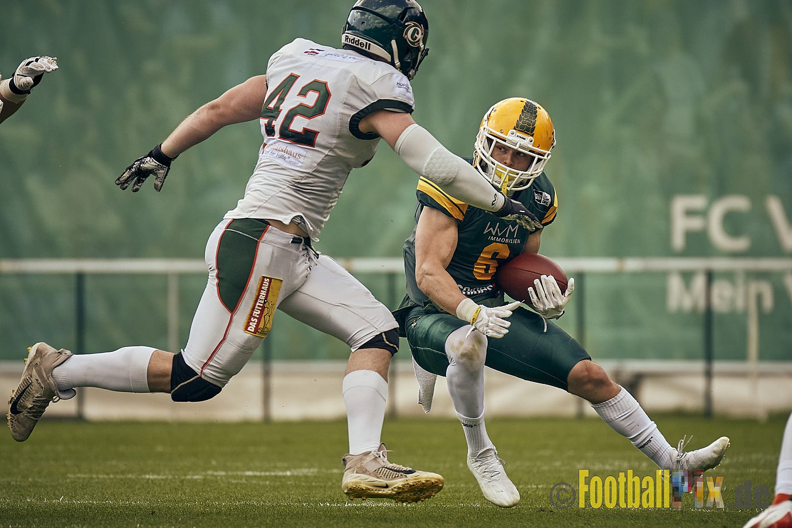 GFL Season 2022 Cologne Crocodiles vs. Kiel Baltic Hurricanes am 11.06.2022 im Stadion Stadion Höhenberg, Höhenberger Ring, 51103 Köln. Punkte Endstand 49 : 00. Bildnummer: 2022-06-11_0867 - CologneCrocodilesVsKielBalticHurricanes