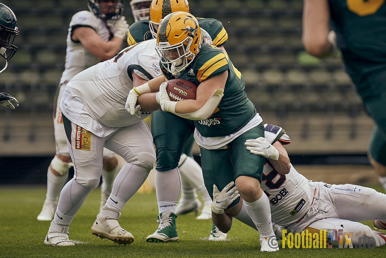 GFL Season 2022 Cologne Crocodiles vs. Kiel Baltic Hurricanes am 11.06.2022 im Stadion Stadion Höhenberg, Höhenberger Ring, 51103 Köln. Punkte Endstand 49 : 00. Bildnummer: 2022-06-11_0920 - CologneCrocodilesVsKielBalticHurricanes