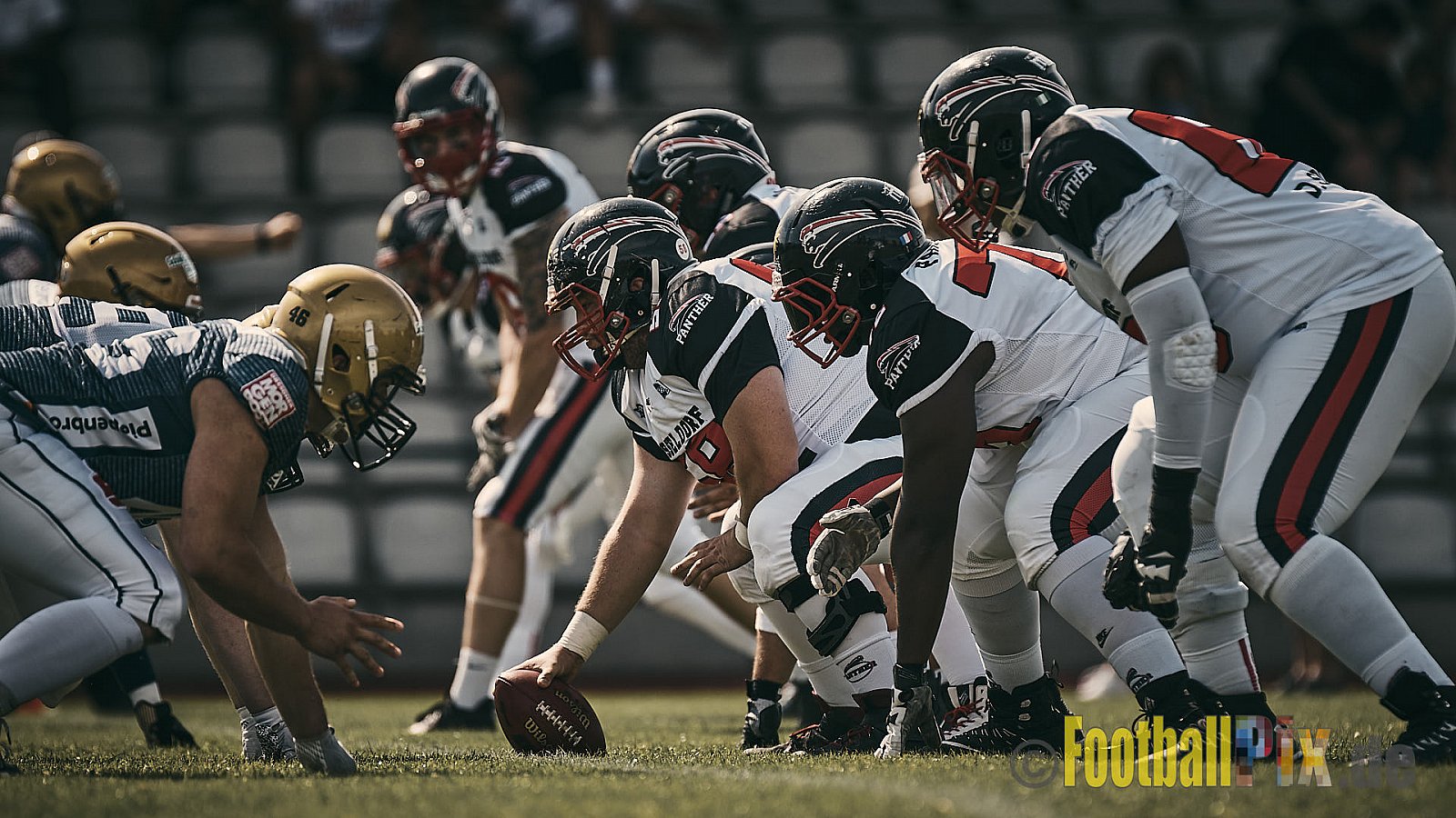 Spiel der GFL Season 2022 Düsseldorf Panther vs. Dresden Monarchs am 30.07.2022 im Stadion VfL Benrath, Karl-Hohmann-Straße 70, 40597 Düsseldorf, Punkte Endstand 00 : 21.
[Bildnummer: 2022-07-30_0172] - DPantherVsDresdenMonarchs