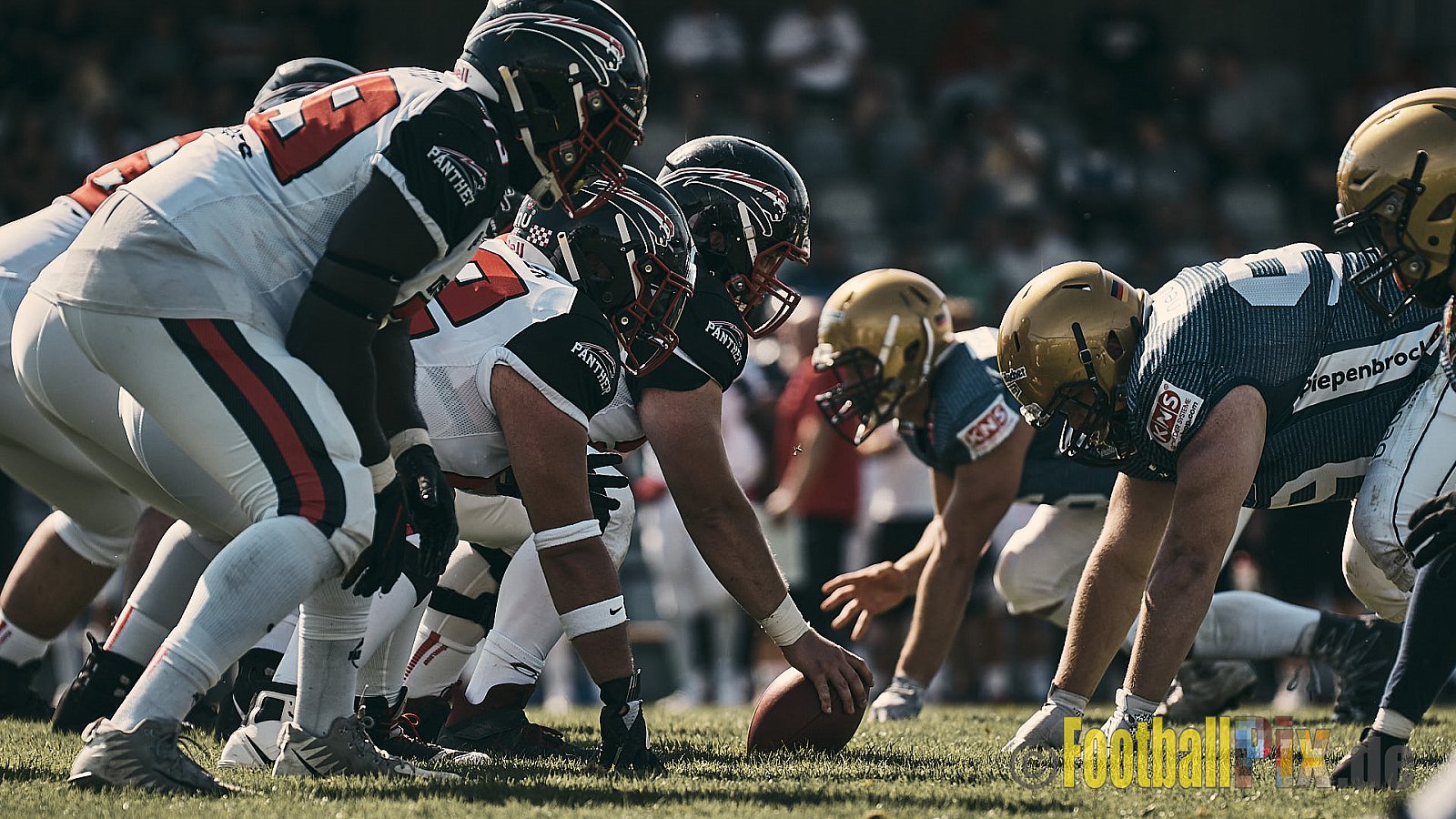 Spiel der GFL Season 2022 Düsseldorf Panther vs. Dresden Monarchs am 30.07.2022 im Stadion VfL Benrath, Karl-Hohmann-Straße 70, 40597 Düsseldorf, Punkte Endstand 00 : 21.
[Bildnummer: 2022-07-30_0234] - DPantherVsDresdenMonarchs