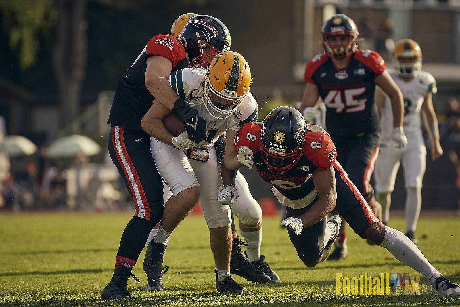 Spiel der GFL Season 2022 Düsseldorf Panther vs. Cologne Crocodiles am 20.08.2022 im Stadion VfL Benrath, Karl-Hohmann-Straße 70, 40597 Düsseldorf, Punkte Endstand 07 : 49.
[Bildnummer: 2022-08-20_0327] - DPantherVsCologneCrocodiles