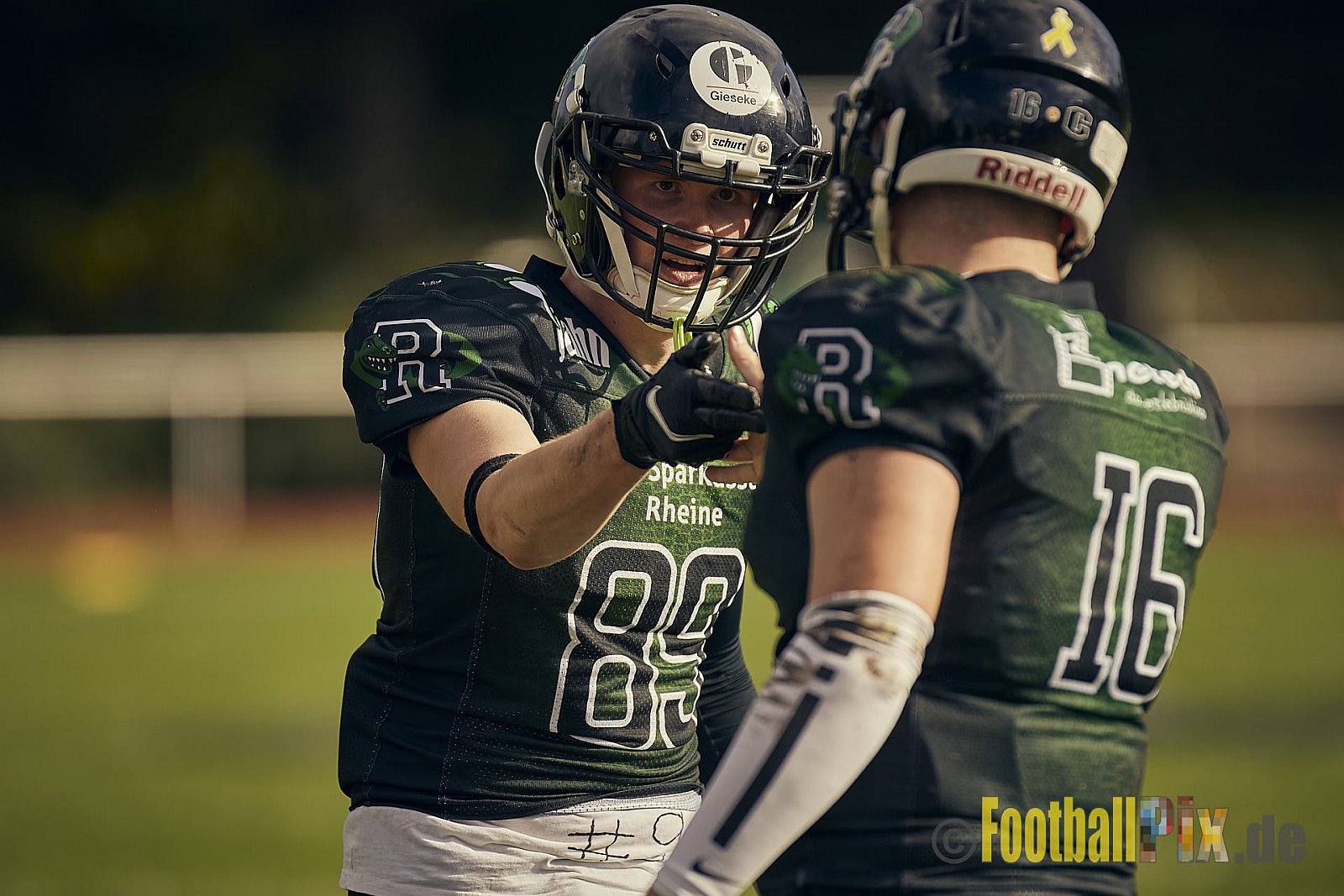 AFCV NRW Landesliga Season 2022 Rheine Raptors vs. Dorsten Reapers am 02.10.2022 im Stadion Jahnstadion, Schützenstraße, 48429 Rheine, Punkte Endstand 35 : 09.
[Bildnummer: 2022-10-02_0498] - RheineRaptorsVsDorstenReapers