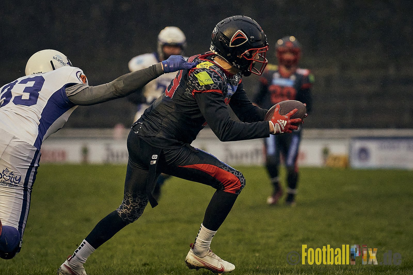 Preseason Game early bird 2023 Solingen Paladins vs. Lohne Longhorns am 4.03.2023 im Stadion Jahnkampfbahn Solingen, Adolf-Clarenbach-Straße 36, 42719 Solingen. Spiel Endstand 34 : 0. Bildnummer: 2023-03-04_0107 - SolingenPaladinsVsLohneLonghorns