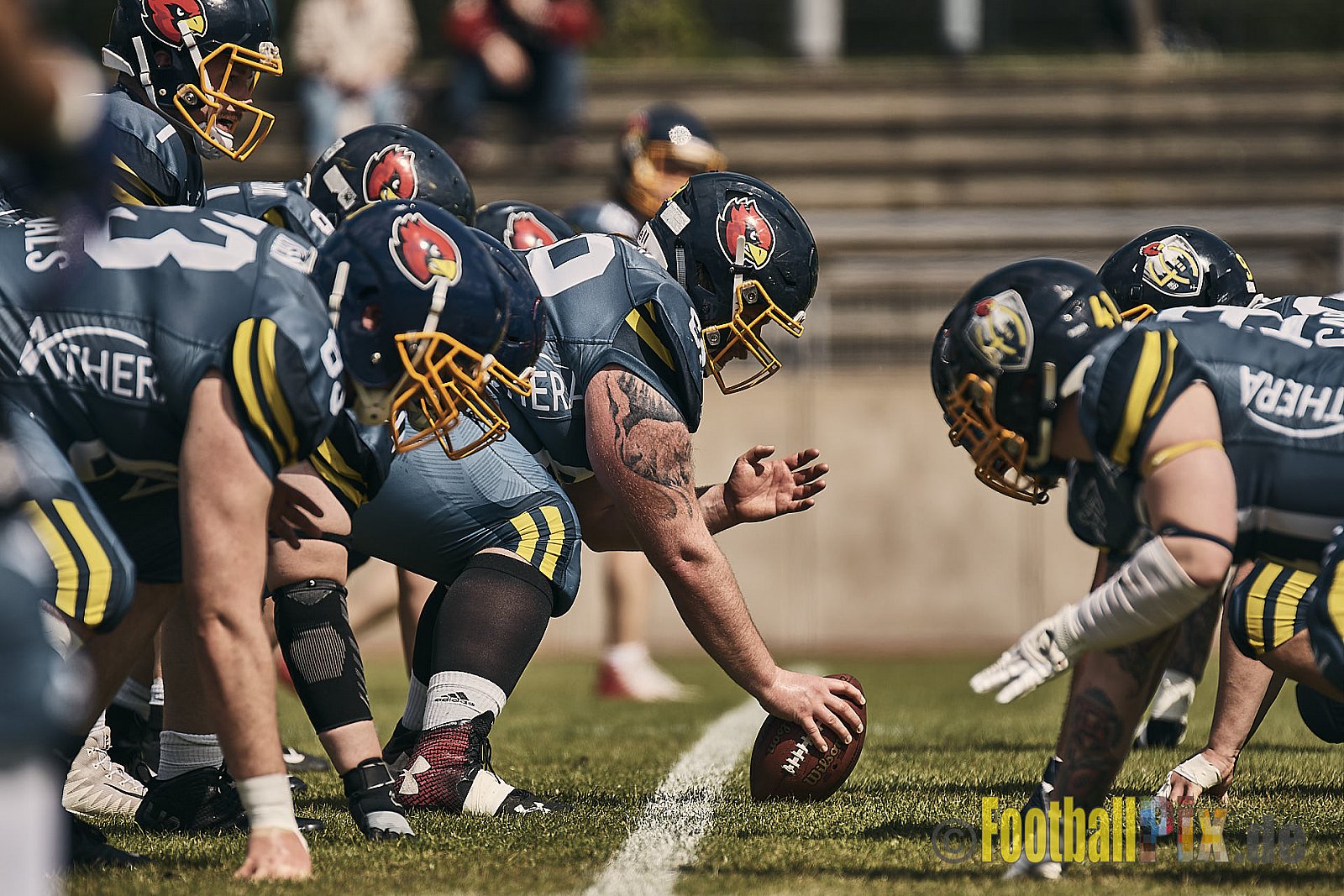 AFCV Regionalliga Season 2023 Essen Assindia Cardinals vs. Wuppertal Greyhounds am 30.04.2023 im Stadion Stadion am Hallo, Hallostraße 50, 45141 Essen, Punkte Endstand 12 : 27.
[2023-04-30_0007] - EssenAssindiaCardinalsVsWuppertalGreyhounds