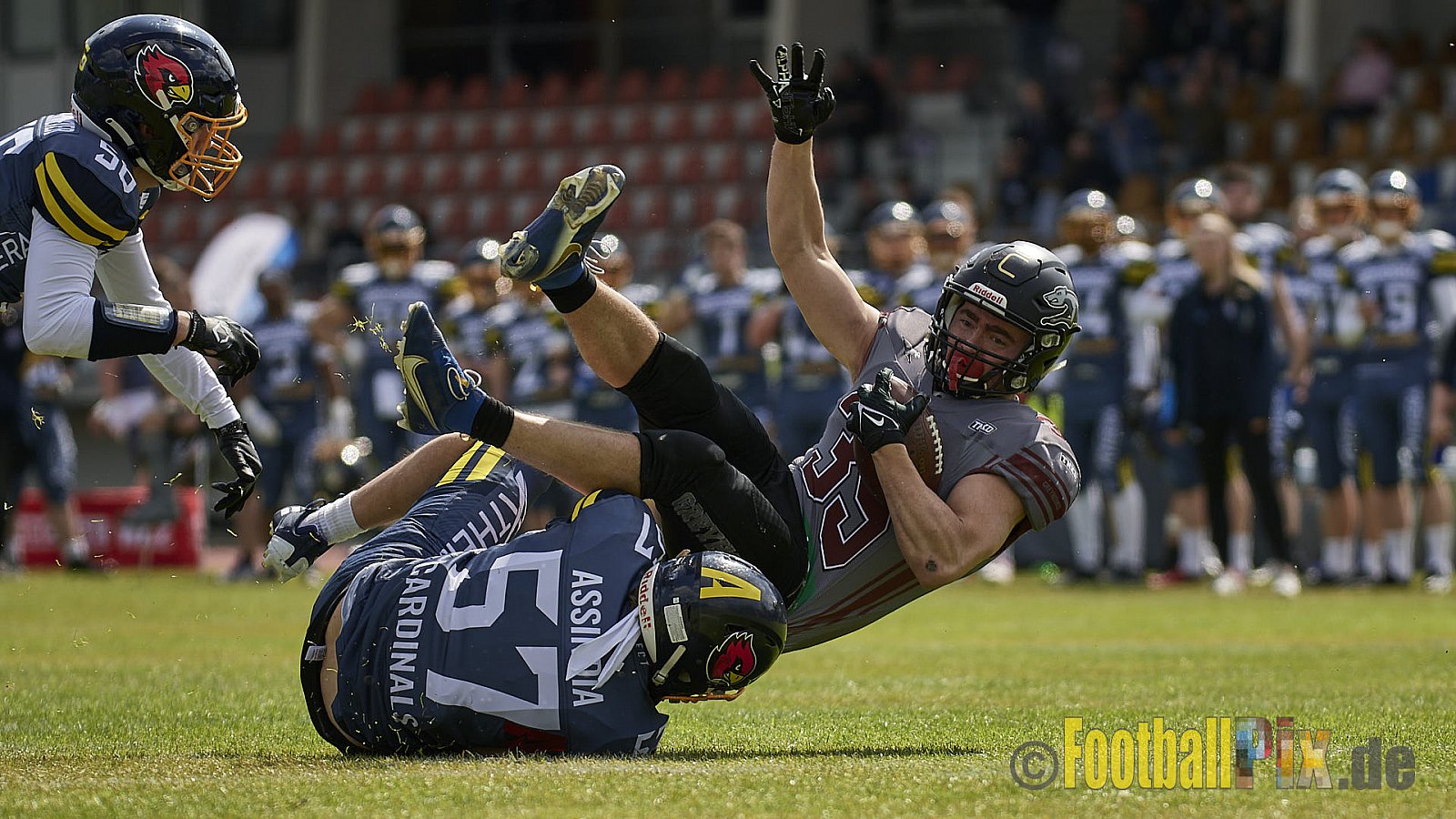 AFCV Regionalliga Season 2023 Essen Assindia Cardinals vs. Wuppertal Greyhounds am 30.04.2023 im Stadion Stadion am Hallo, Hallostraße 50, 45141 Essen, Punkte Endstand 12 : 27.
[2023-04-30_0108] - EssenAssindiaCardinalsVsWuppertalGreyhounds