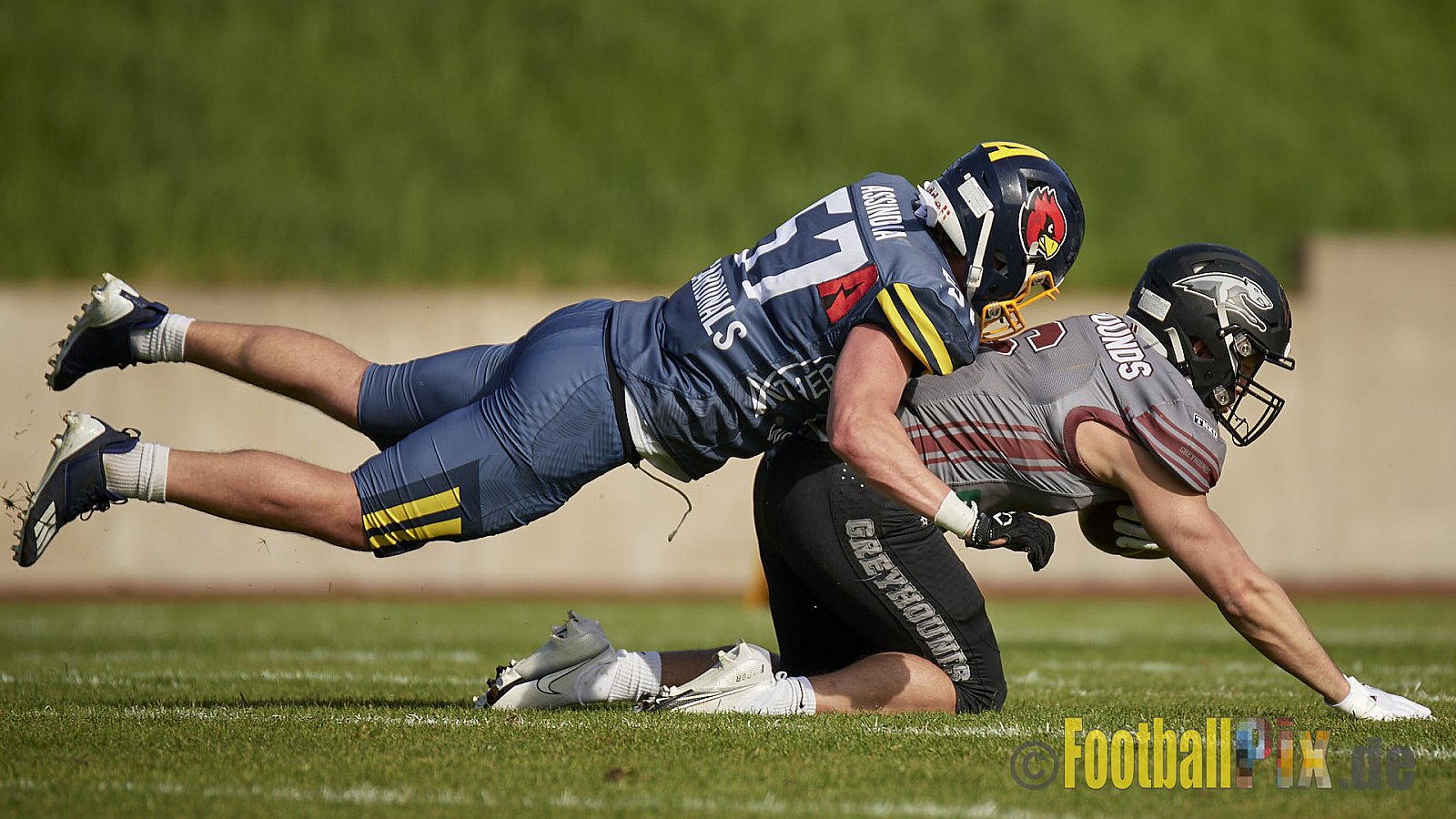 AFCV Regionalliga Season 2023 Essen Assindia Cardinals vs. Wuppertal Greyhounds am 30.04.2023 im Stadion Stadion am Hallo, Hallostraße 50, 45141 Essen, Punkte Endstand 12 : 27.
[2023-04-30_0376] - EssenAssindiaCardinalsVsWuppertalGreyhounds