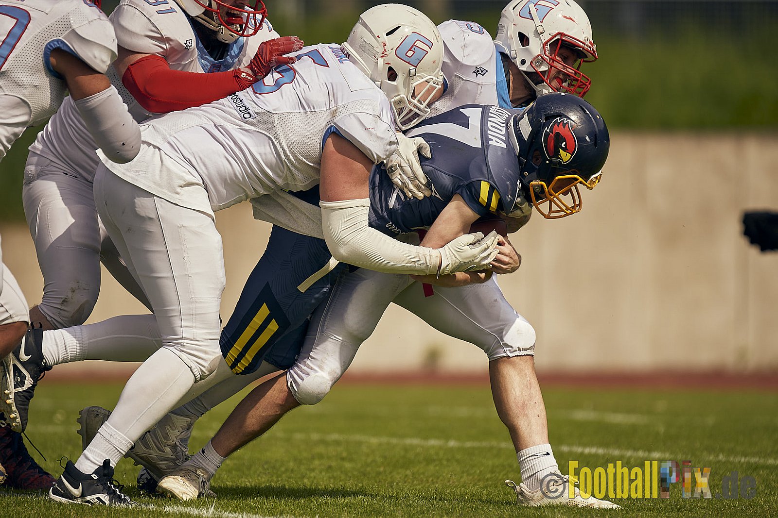 AFCV Regionalliga Season 2023 Essen Assindia Cardinals vs. Bonn Gamecocks am 21.05.2023 im Stadion am Hallo, Hallostraße 50, 45141 Essen, Punkte Endstand: 20 : 28
[Bildnummer: 2023-05-21_0203] - EssenAssindiaCardinalsVsBonnGamecocks