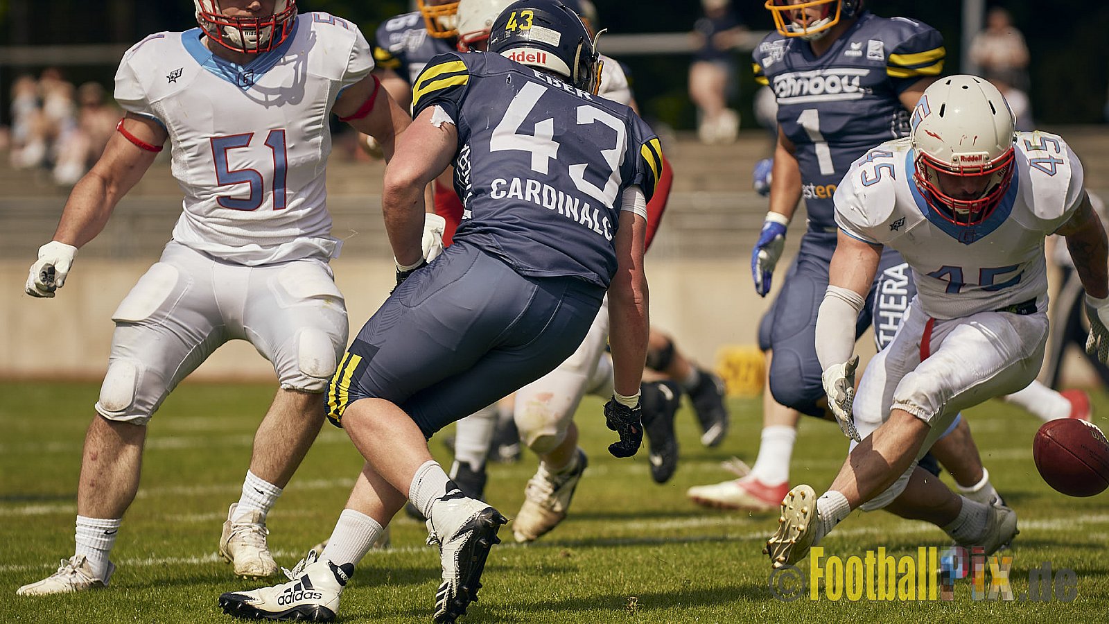 AFCV Regionalliga Season 2023 Essen Assindia Cardinals vs. Bonn Gamecocks am 21.05.2023 im Stadion am Hallo, Hallostraße 50, 45141 Essen, Punkte Endstand: 20 : 28
[Bildnummer: 2023-05-21_0215] - EssenAssindiaCardinalsVsBonnGamecocks