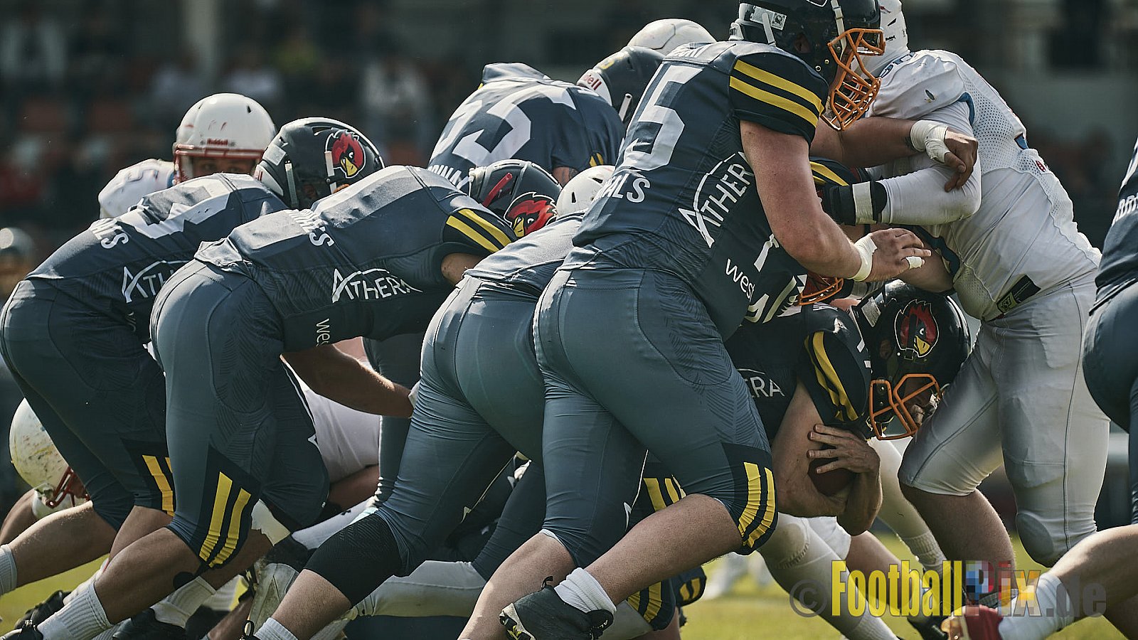 AFCV Regionalliga Season 2023 Essen Assindia Cardinals vs. Bonn Gamecocks am 21.05.2023 im Stadion am Hallo, Hallostraße 50, 45141 Essen, Punkte Endstand: 20 : 28
[Bildnummer: 2023-05-21_0272] - EssenAssindiaCardinalsVsBonnGamecocks