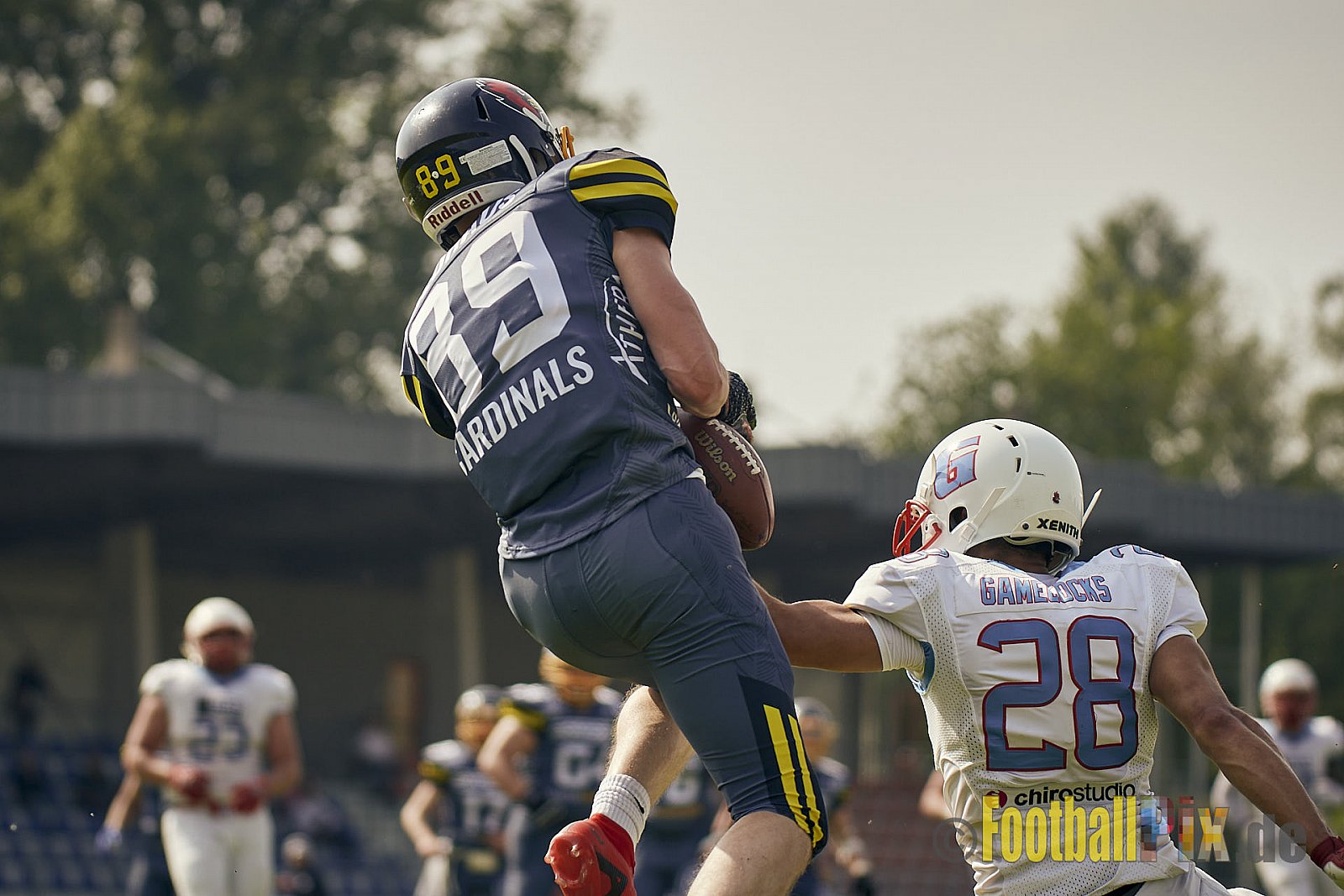 AFCV Regionalliga Season 2023 Essen Assindia Cardinals vs. Bonn Gamecocks am 21.05.2023 im Stadion am Hallo, Hallostraße 50, 45141 Essen, Punkte Endstand: 20 : 28
[Bildnummer: 2023-05-21_0307] - EssenAssindiaCardinalsVsBonnGamecocks
