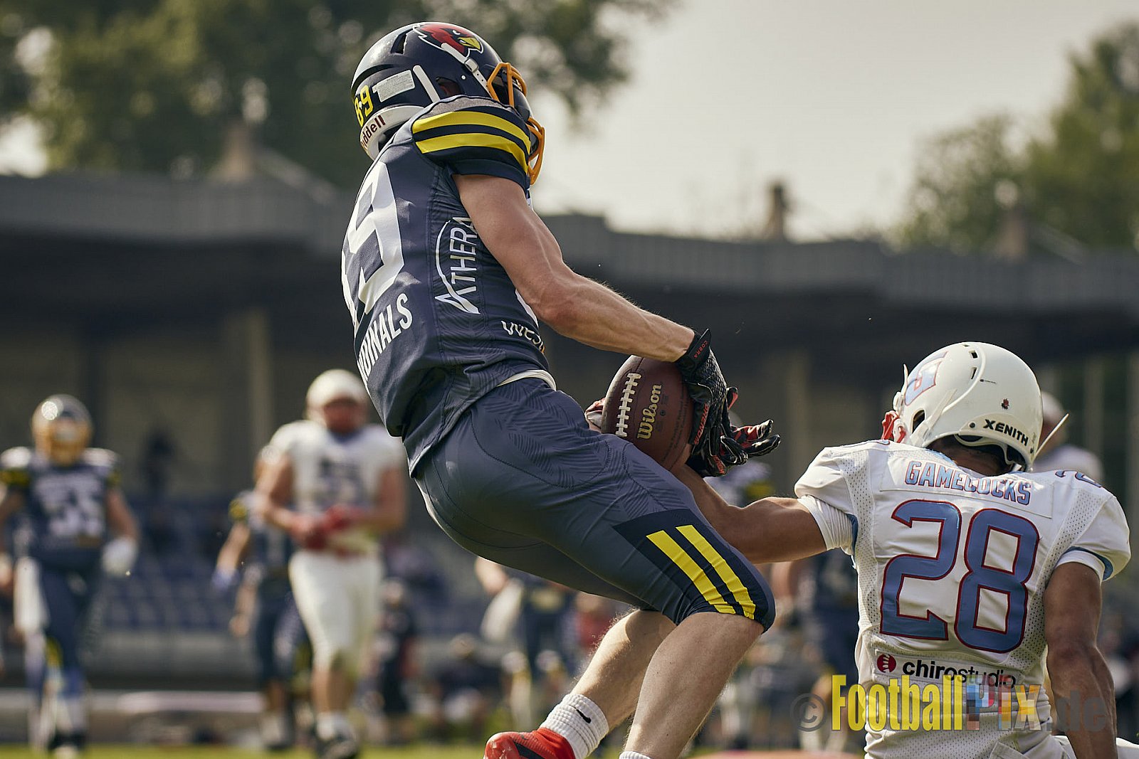 AFCV Regionalliga Season 2023 Essen Assindia Cardinals vs. Bonn Gamecocks am 21.05.2023 im Stadion am Hallo, Hallostraße 50, 45141 Essen, Punkte Endstand: 20 : 28
[Bildnummer: 2023-05-21_0308] - EssenAssindiaCardinalsVsBonnGamecocks