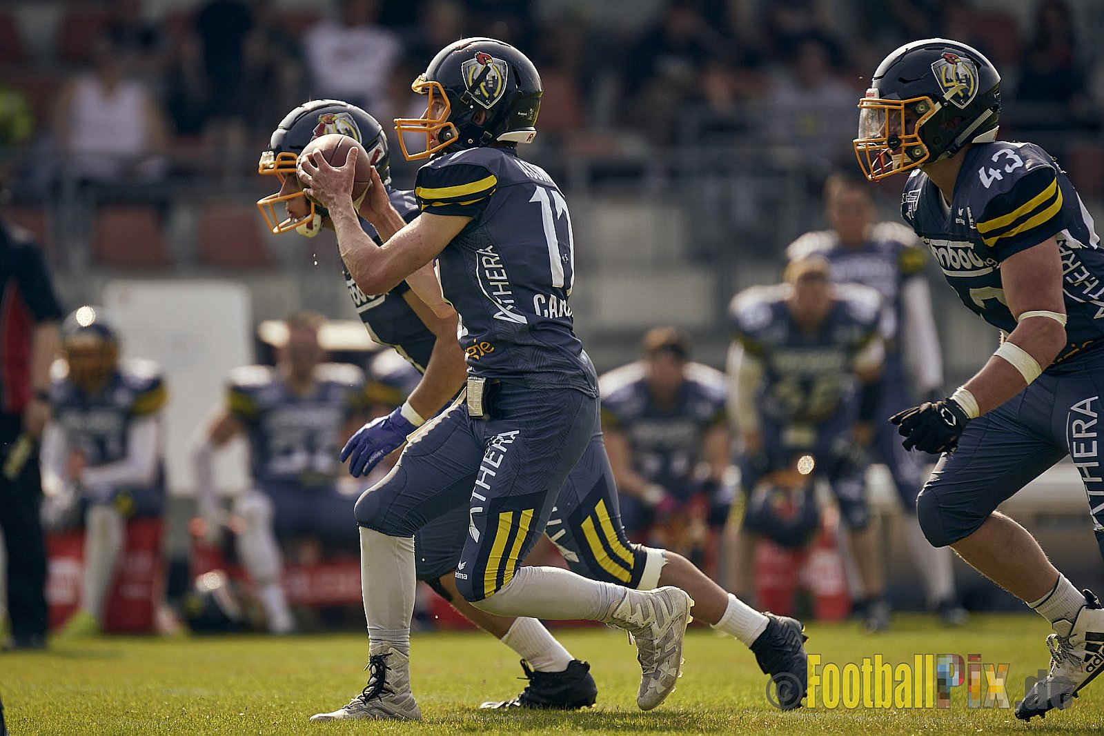 AFCV Regionalliga Season 2023 Essen Assindia Cardinals vs. Bonn Gamecocks am 21.05.2023 im Stadion am Hallo, Hallostraße 50, 45141 Essen, Punkte Endstand: 20 : 28
[Bildnummer: 2023-05-21_0388] - EssenAssindiaCardinalsVsBonnGamecocks