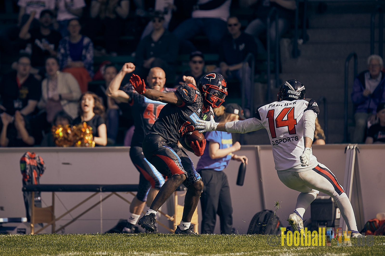 GFL2 Season 2023 Solingen Paladins vs. Düsseldorf Panther am 27.05.2023 im Stadion Jahnkampfbahn Solingen, Adolf-Clarenbach-Straße 36, 42719 Solingen. Punkte Endstand 20 : 21.
[Bildnummer: 2023-05-27_0195] - SolingenPaladinsVsDPanther