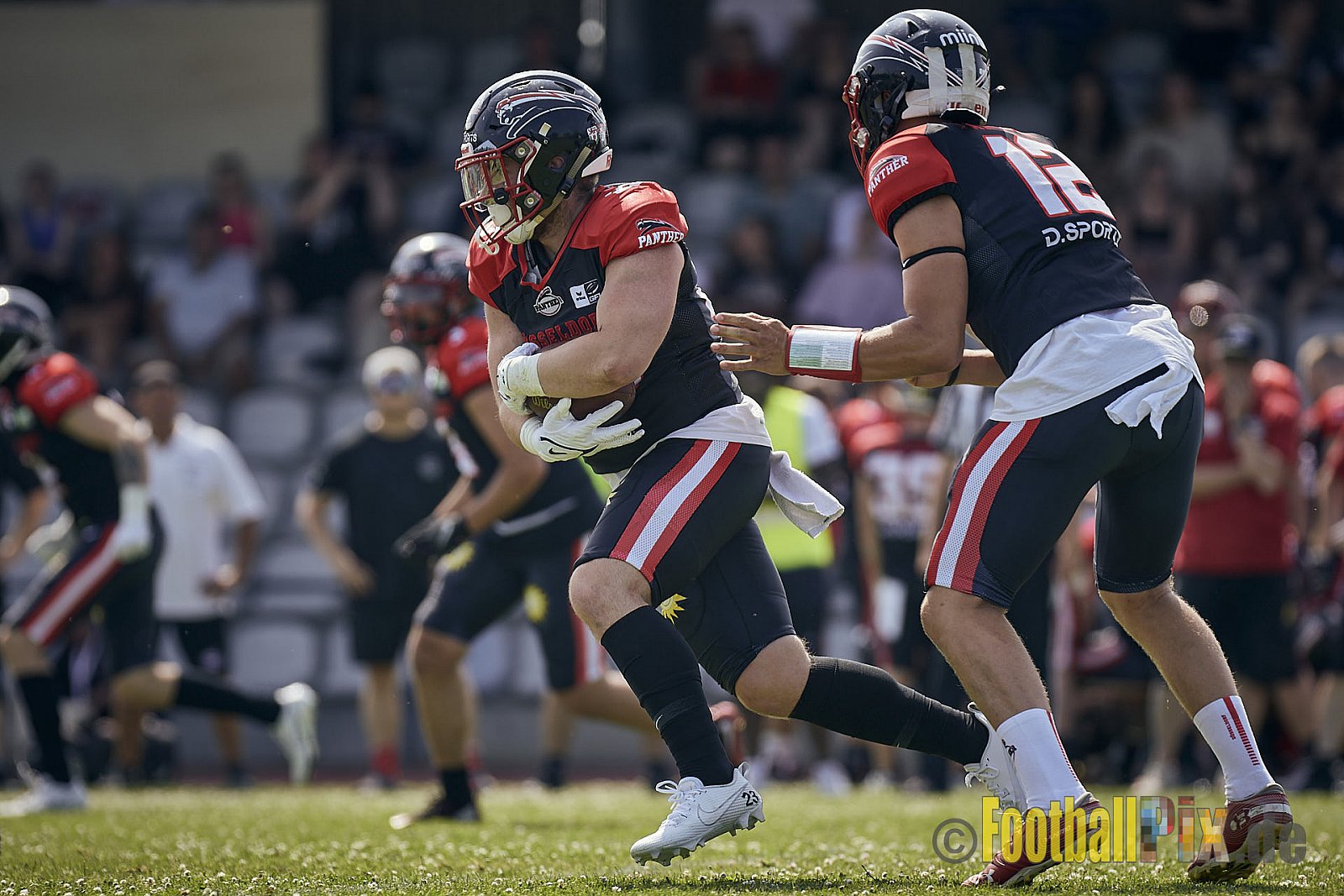 Spiel der GFL2 Season 2023 Düsseldorf Panther vs. Rostock Griffins am 17.06.2023 im Stadion VfL Benrath, Karl-Hohmann-Straße 70, 40597 Düsseldorf. Punkte Endstand 46 : 26. 
Bildnummer: 2023-06-17_0069 - DPantherVsRostockGriffins