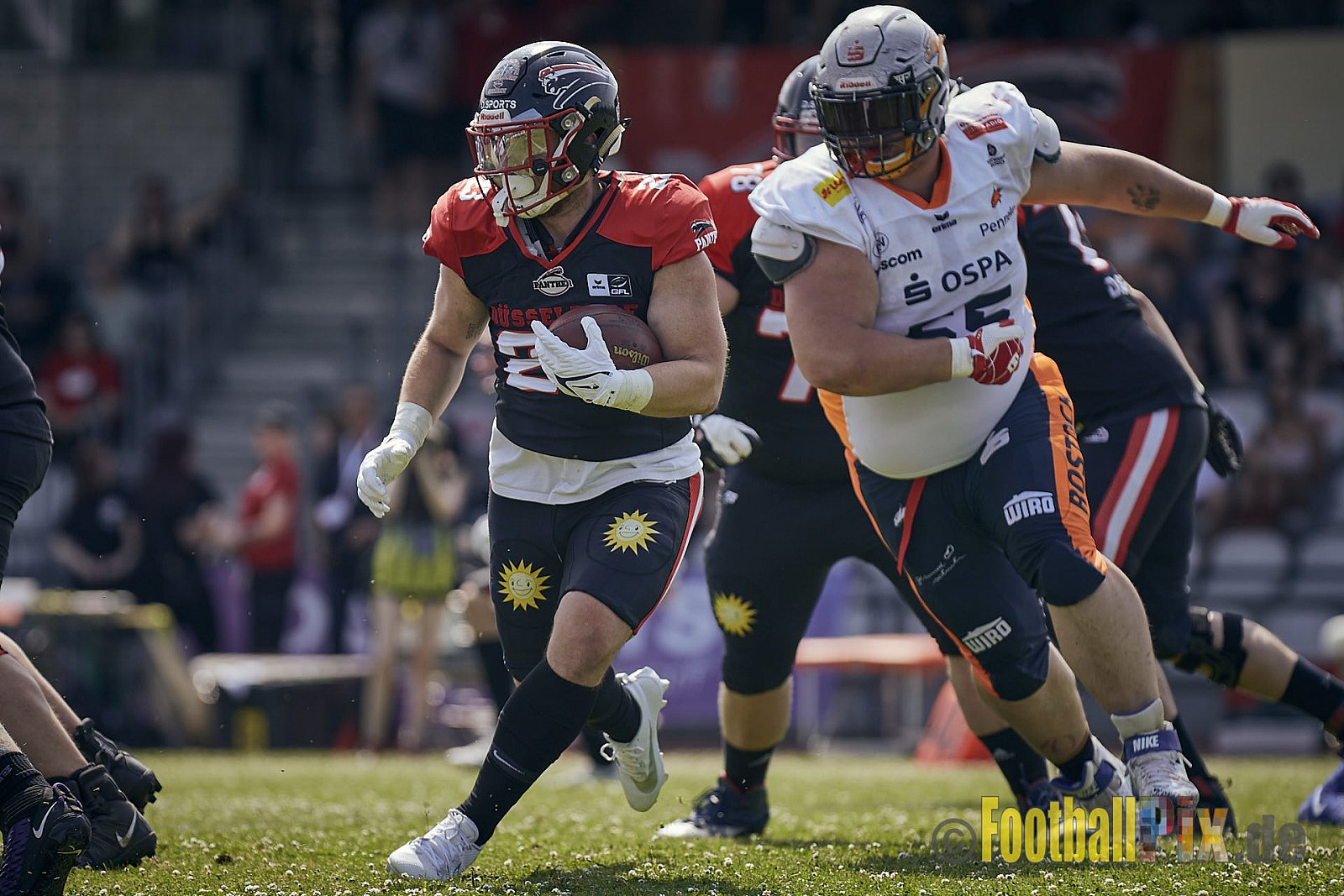 Spiel der GFL2 Season 2023 Düsseldorf Panther vs. Rostock Griffins am 17.06.2023 im Stadion VfL Benrath, Karl-Hohmann-Straße 70, 40597 Düsseldorf. Punkte Endstand 46 : 26. 
Bildnummer: 2023-06-17_0071 - DPantherVsRostockGriffins