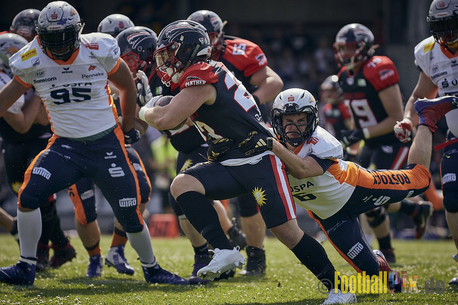 Spiel der GFL2 Season 2023 Düsseldorf Panther vs. Rostock Griffins am 17.06.2023 im Stadion VfL Benrath, Karl-Hohmann-Straße 70, 40597 Düsseldorf. Punkte Endstand 46 : 26. 
Bildnummer: 2023-06-17_0074 - DPantherVsRostockGriffins